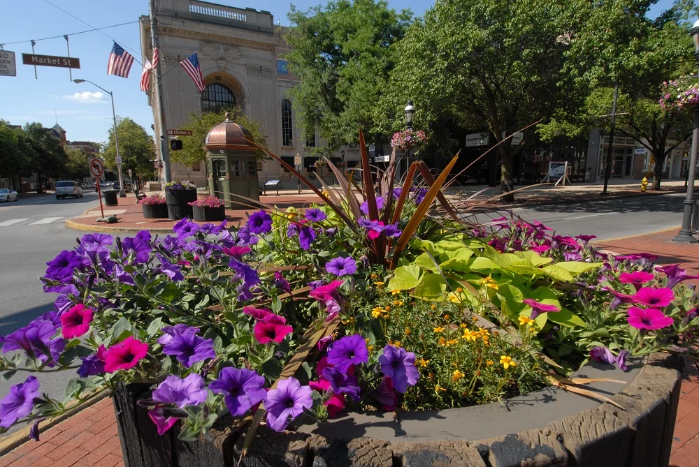 The Garden Club OF YORK WILL FILL More than 90 Downtown Planters on THURsday. Downtown Inc is the primary funder of these particular plantings.
