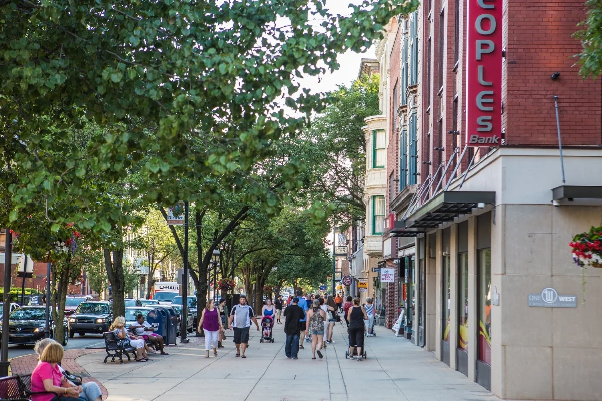 In addition to Their natural beauty, trees provide shade for pedestrians, help mitigate storm-water runoff and provide a host of other benefits. Caring for them is caring for our community.