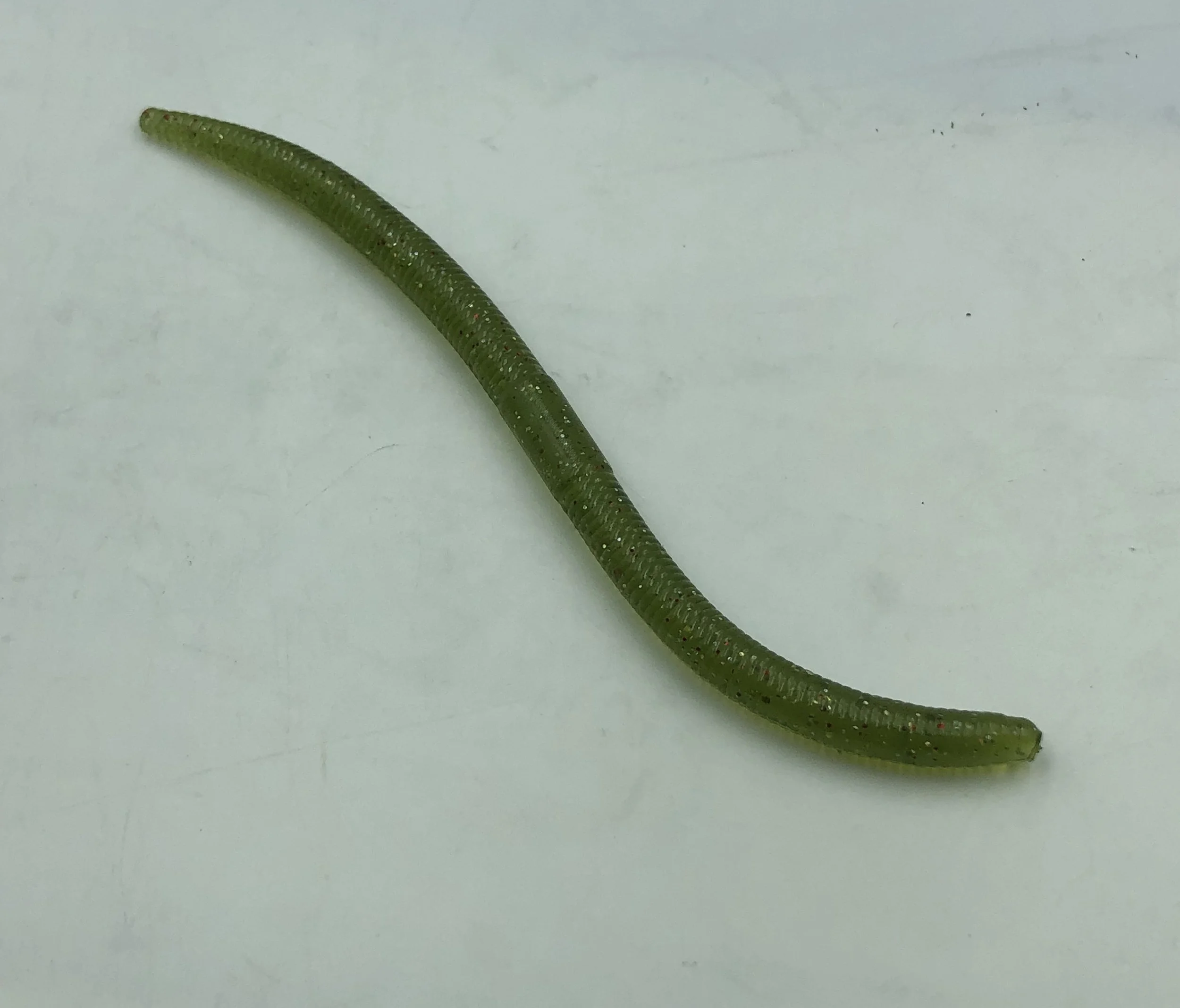 bent worm 4.9  2.JPG
