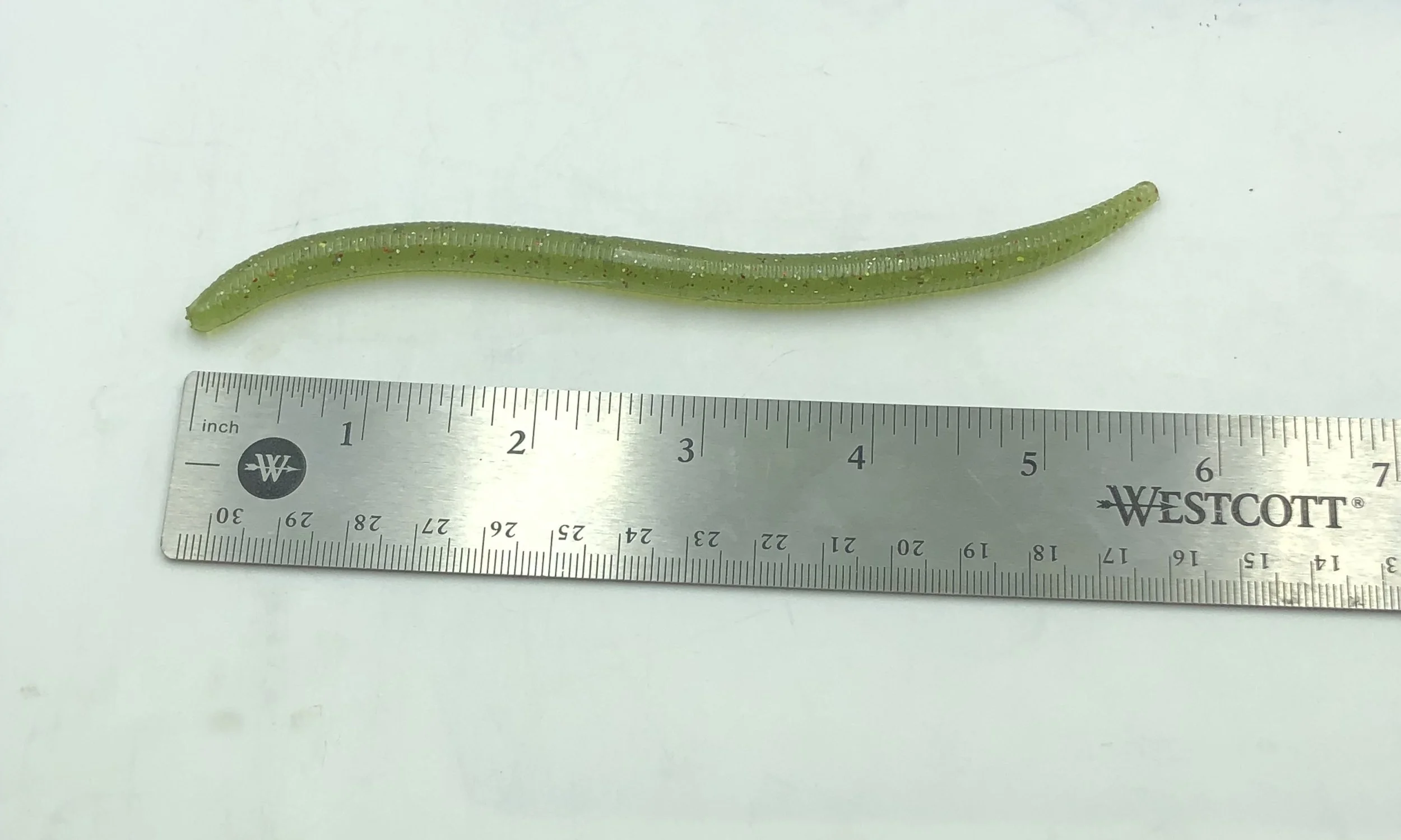 bent worm 4.9  1.JPG