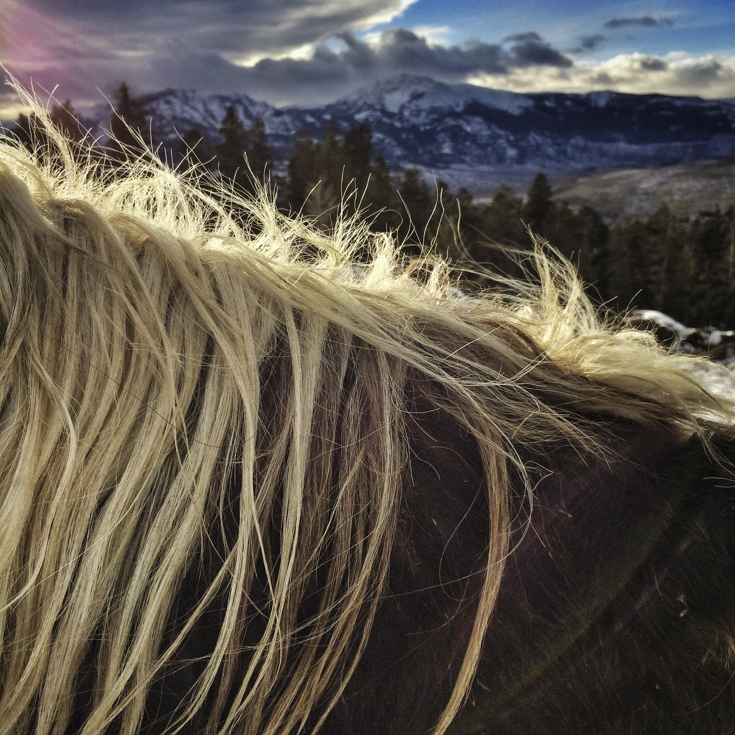 For Open Edition (unlimited) print sales, please visit here.