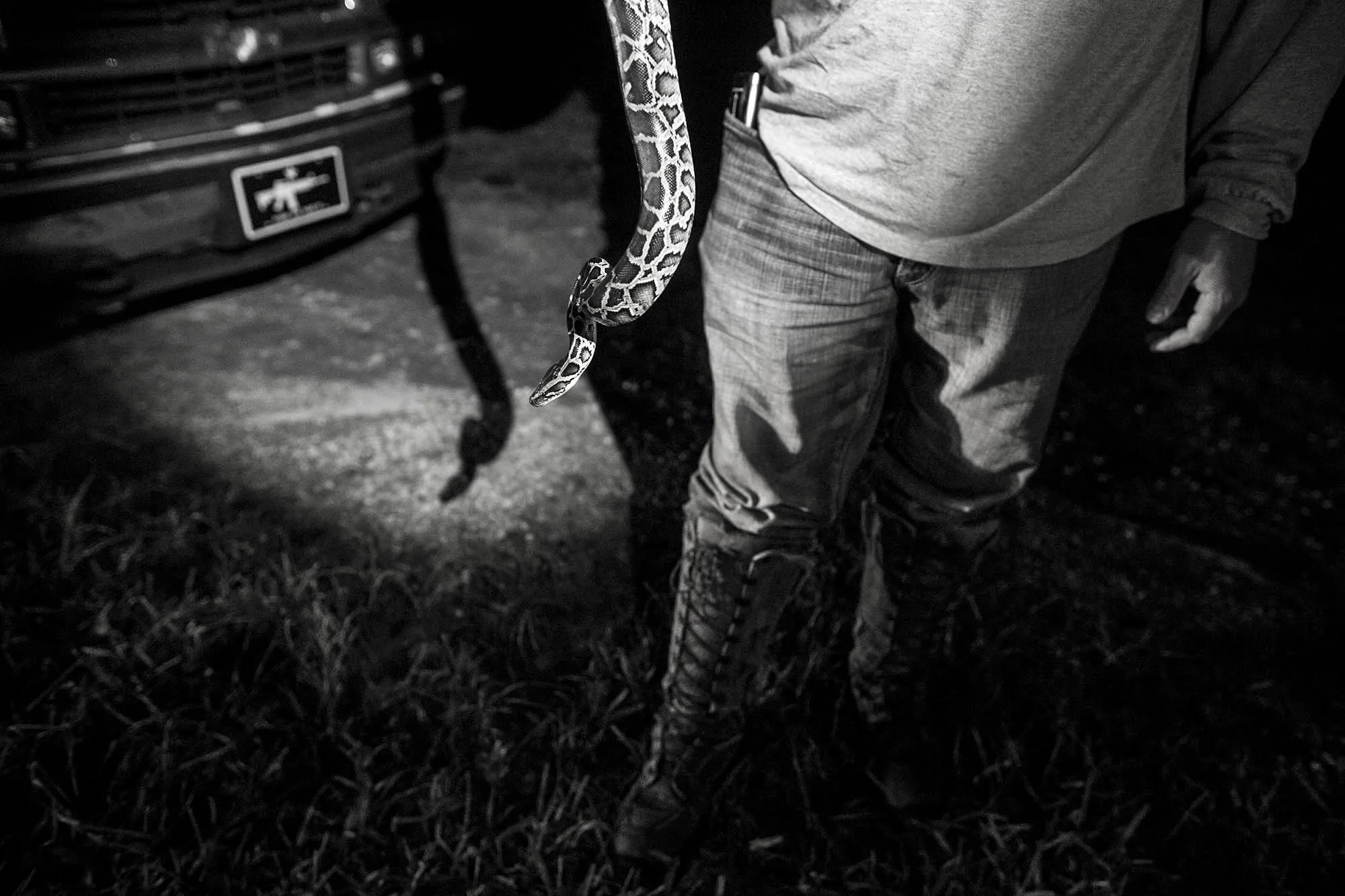 DG_PythonEverglades_024_webBW.jpg