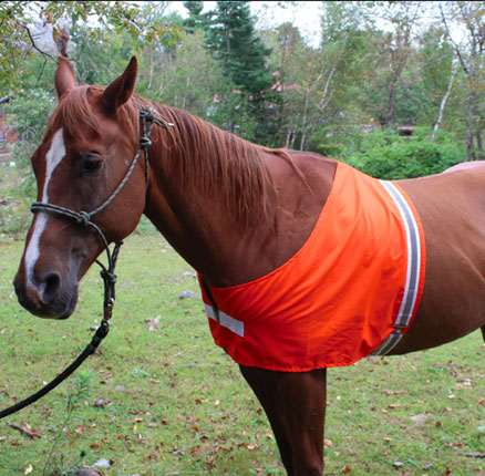 horse vest All sizes Anti rub vest Orange Lycra horse bib 