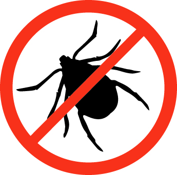 are mosquito coils toxic to dogs