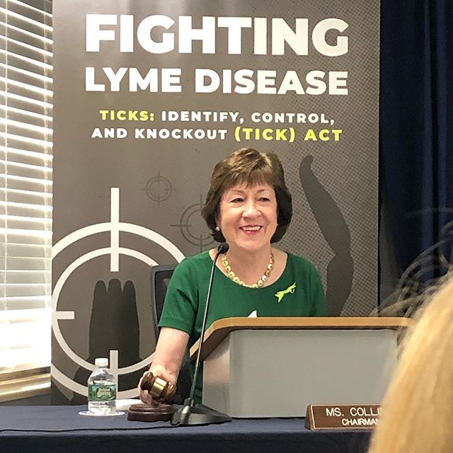 I had the honor of listening to Senator Collins along with medical and scientific witnesses at a US Senate Hearing about the TICK Act introduced by Senators Collins and Senator King.