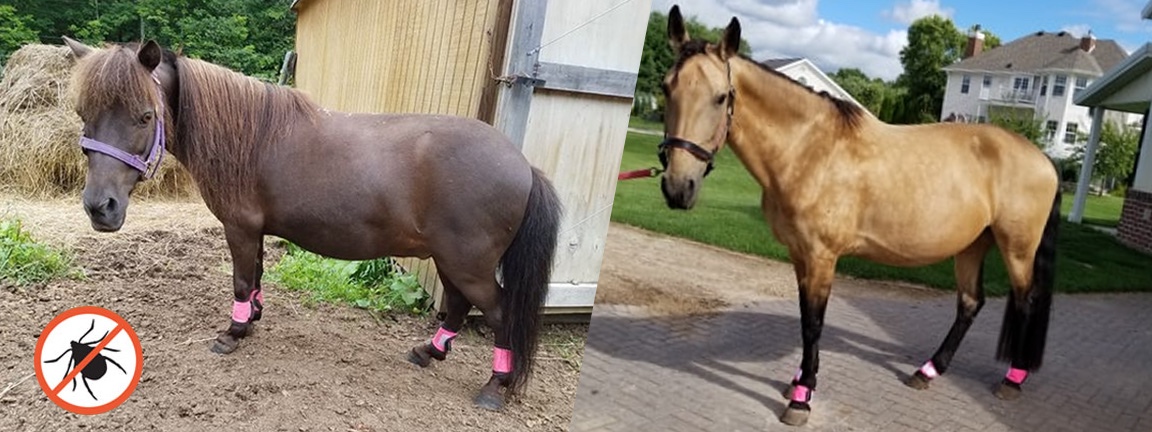  Tick Repelling Horse Gaiters 