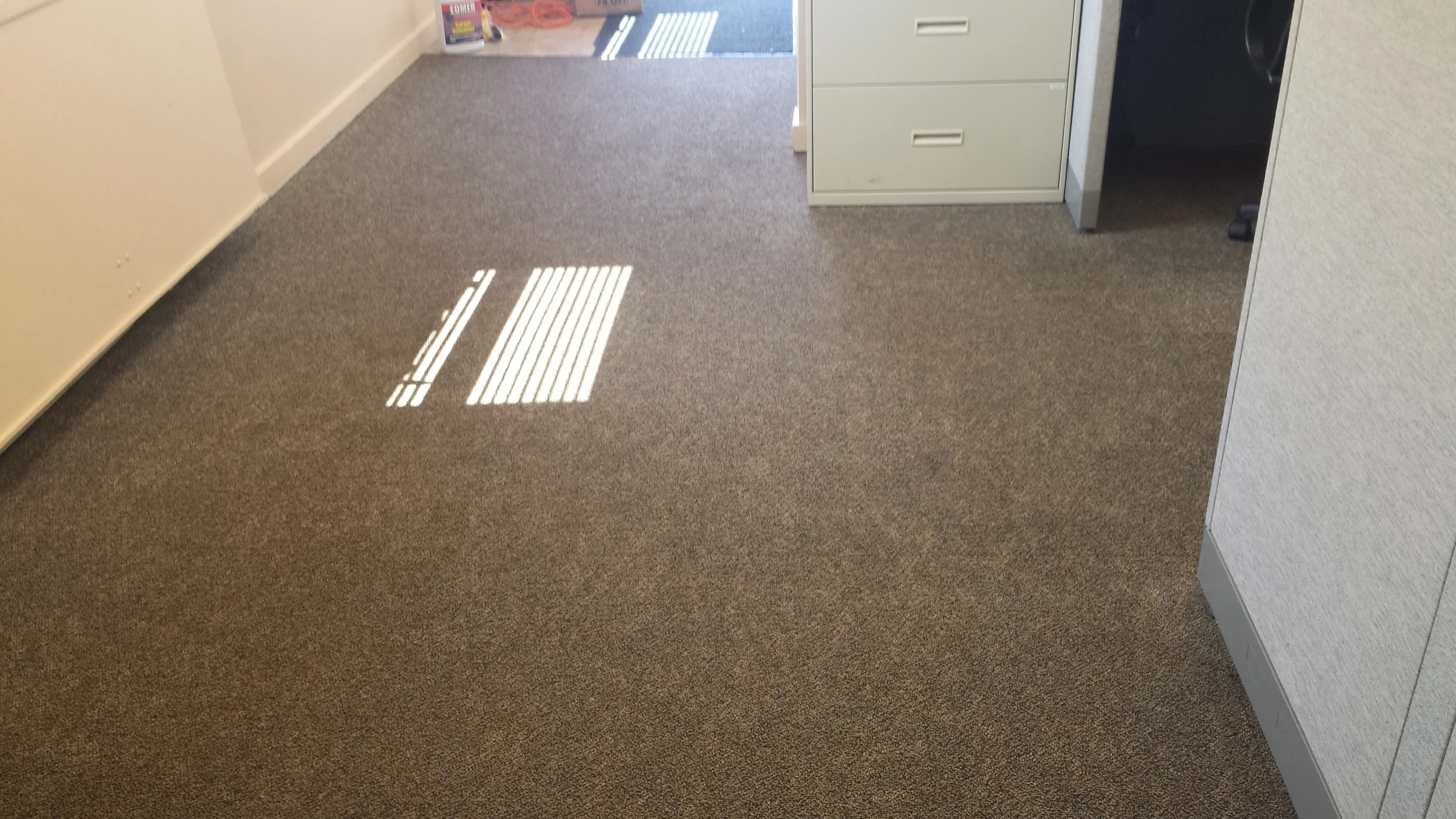 Carpet Shampoo.jpg