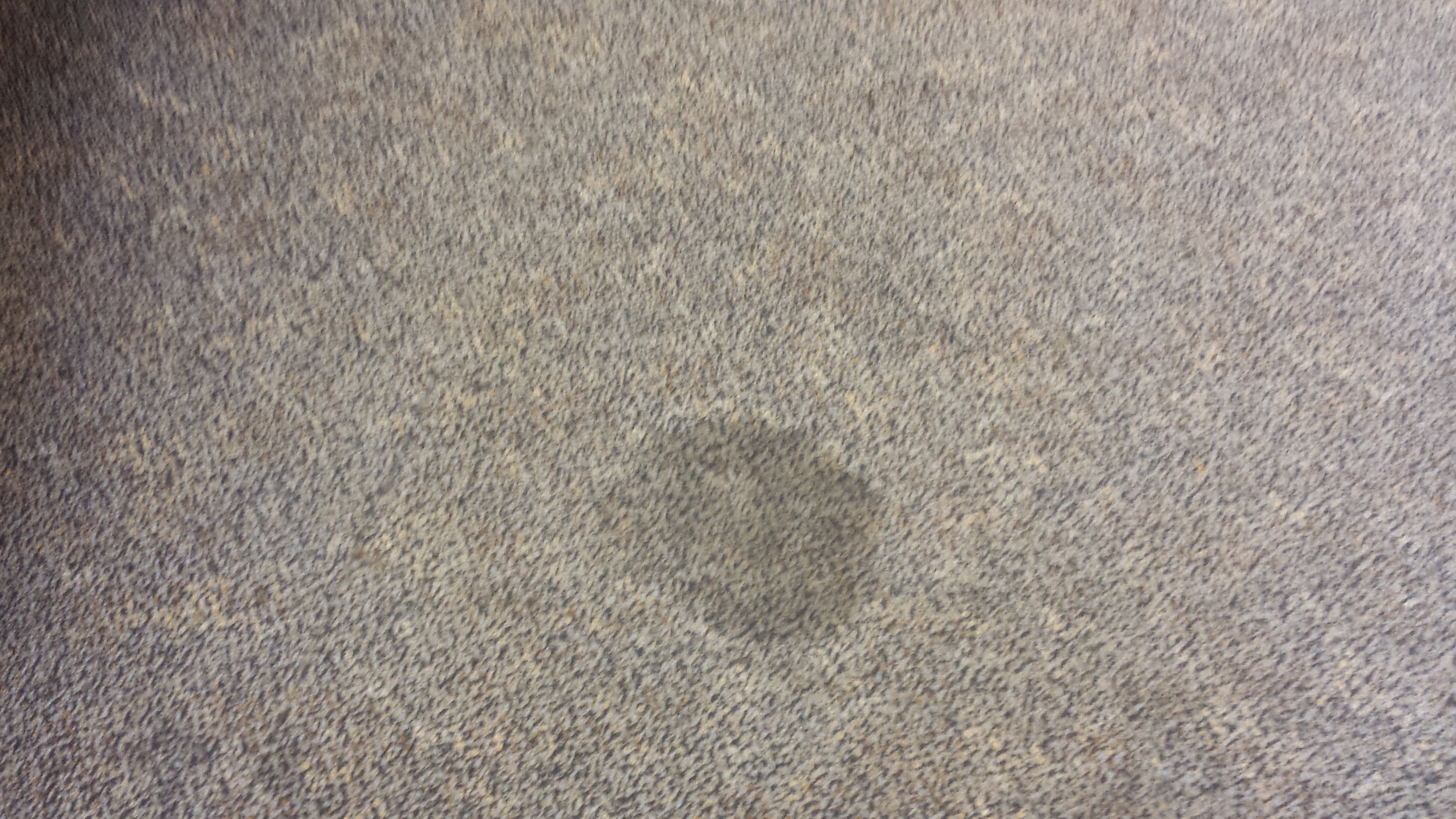 Carpet Stains.jpg