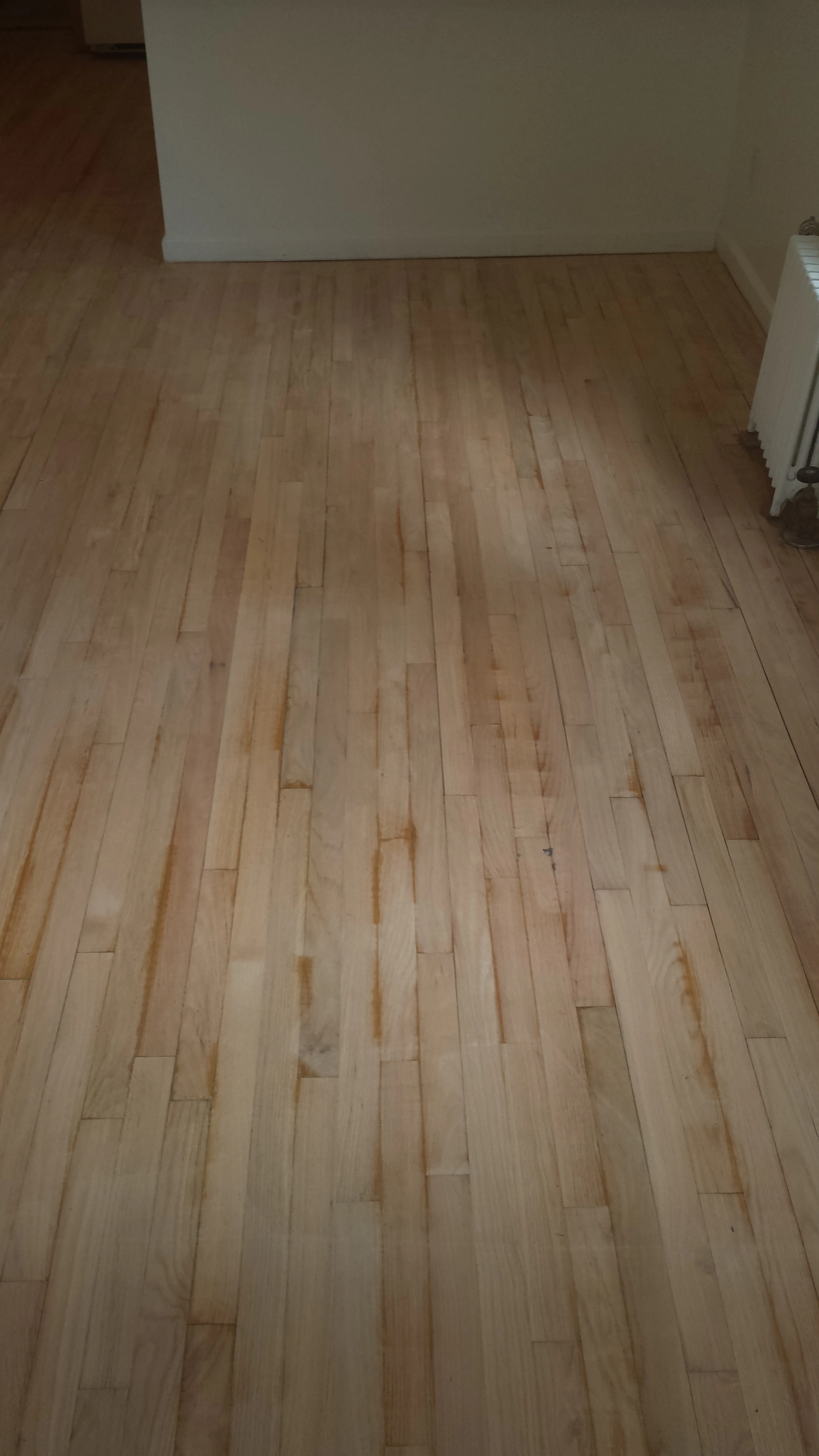 20130623_174544.jpg