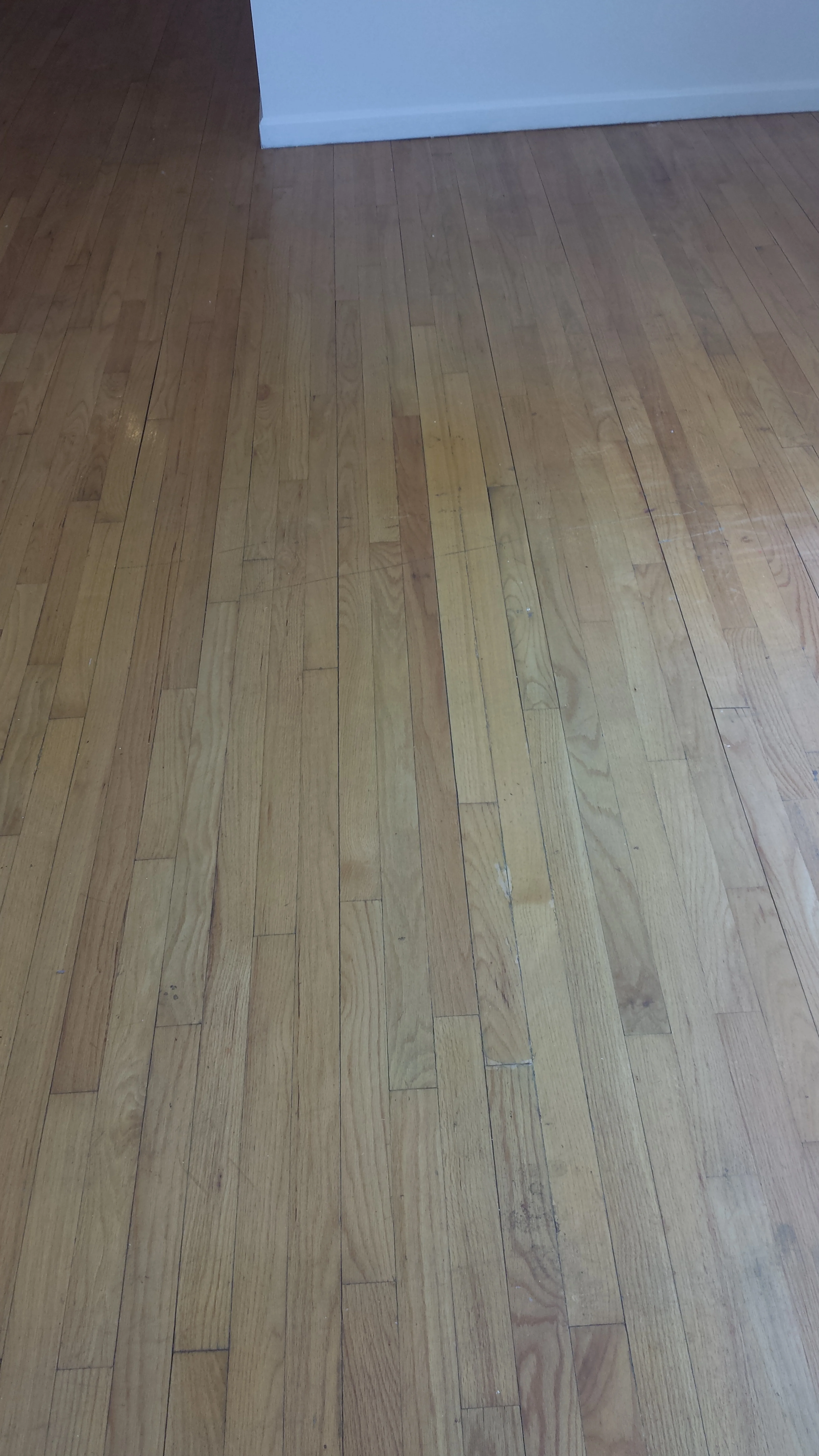 20130623_142252.jpg