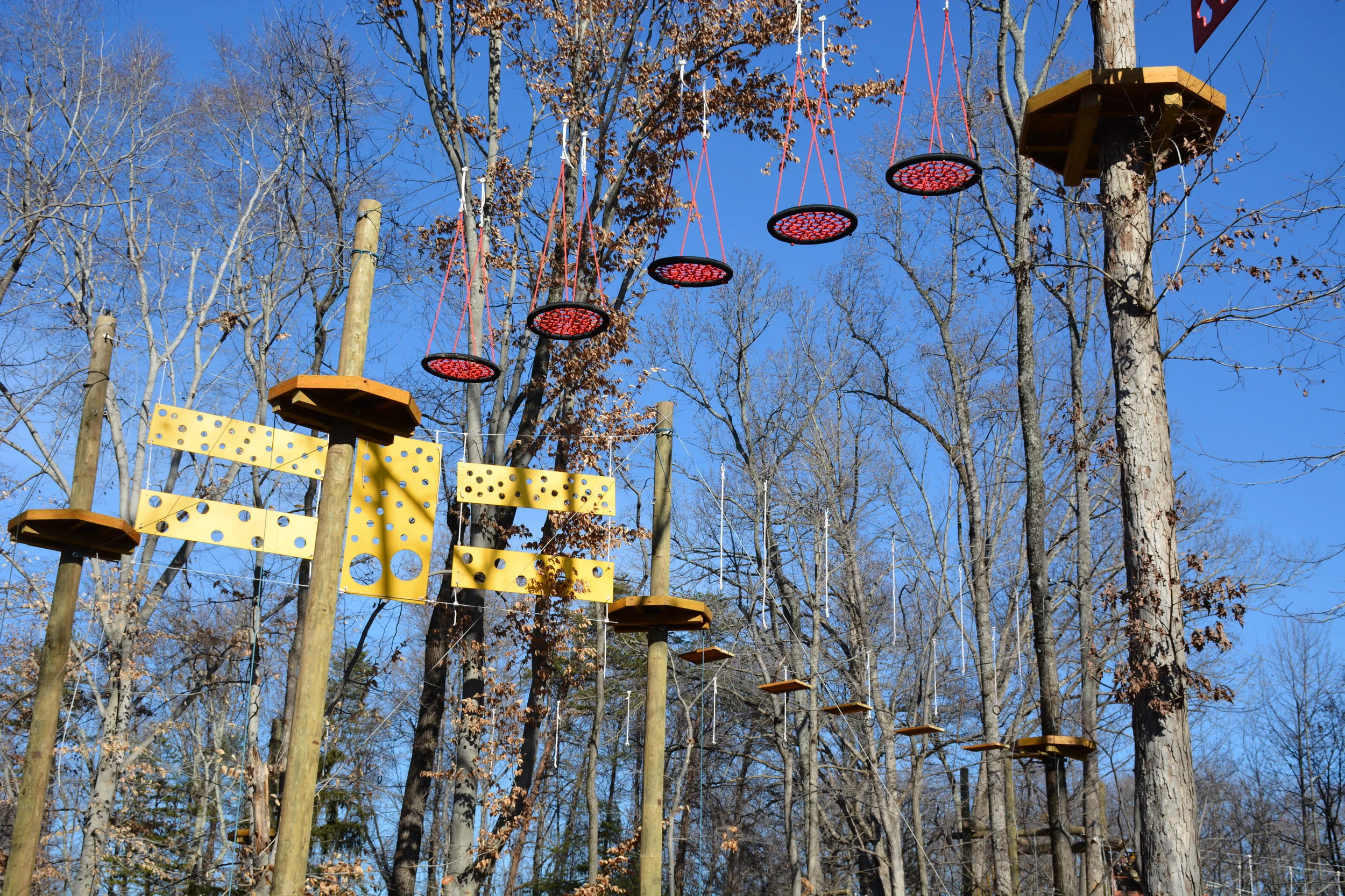 Greensboro Science Center's new Sky Wild treetop adventure course. Image credit: Greensboro Science Center.