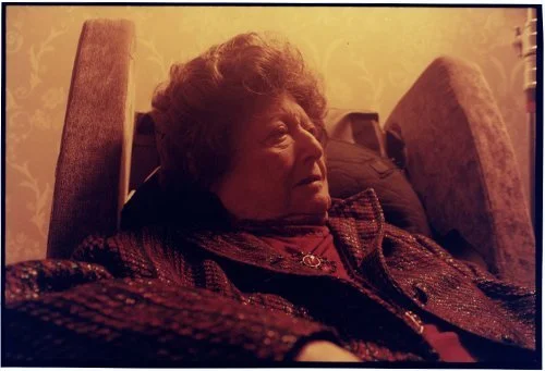 'The Colours Of Life' Lampoon Magazine 2024.