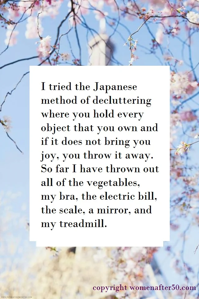 waf japanese decluttering large font.jpg