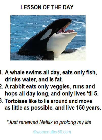 whale exercise waf.png