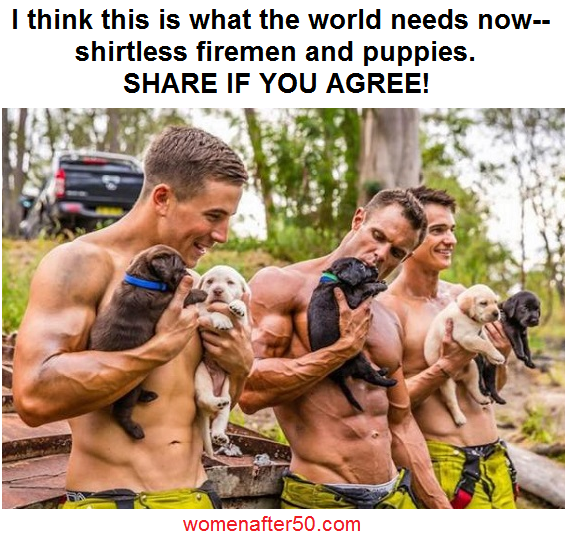 firemen and puppies waf.png