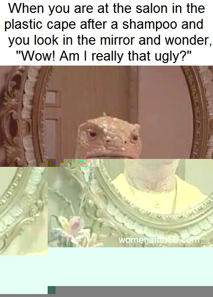 salon mirror-am I really that ugly.jpg