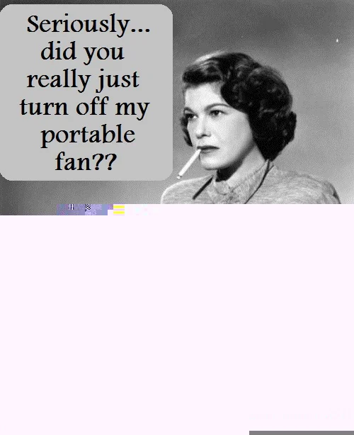 portable fan waf.jpg