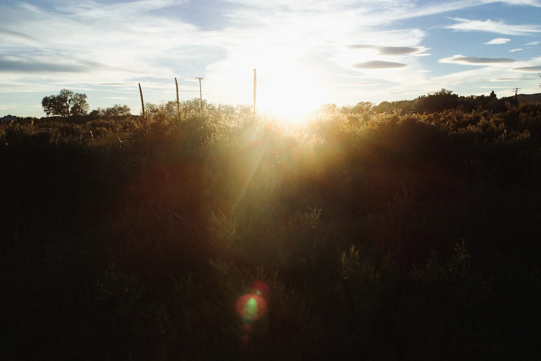 BARTLETT_LANDSCAPES_02.jpg