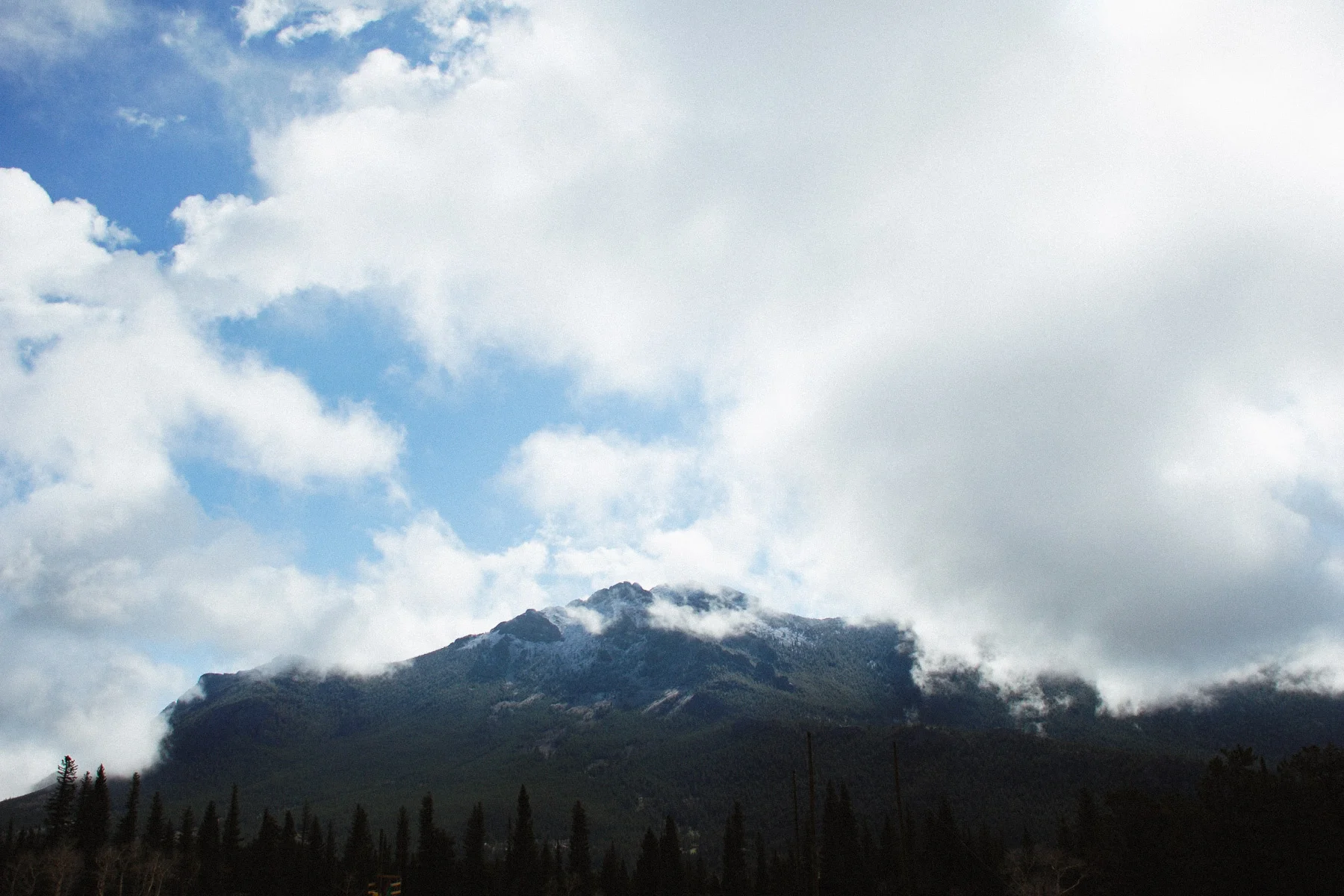 BARTLETT_LANDSCAPES_03.jpg