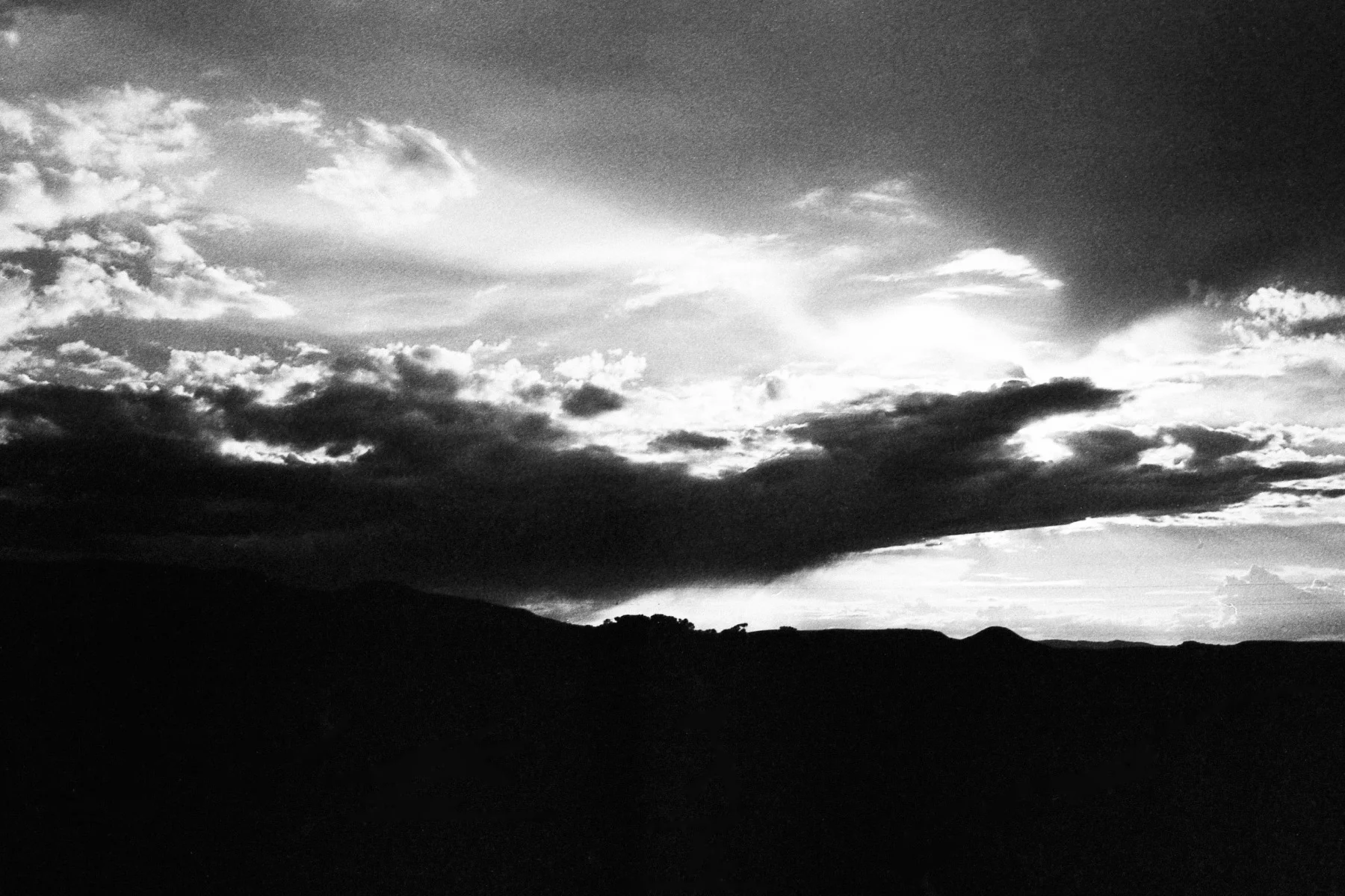 BARTLETT_LANDSCAPES_04.jpg