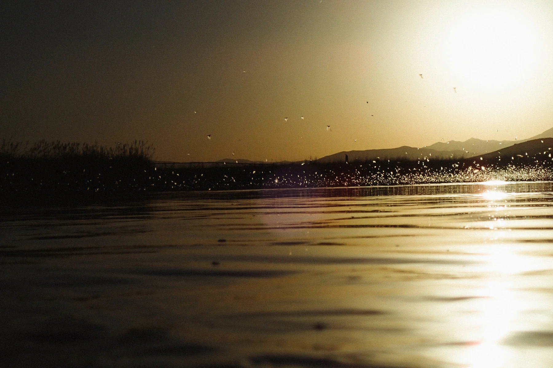 BARTLETT_LANDSCAPES_08.jpg