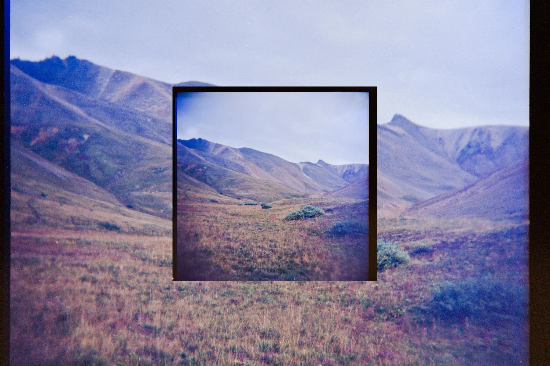 BARTLETT_LANDSCAPES_32.jpg