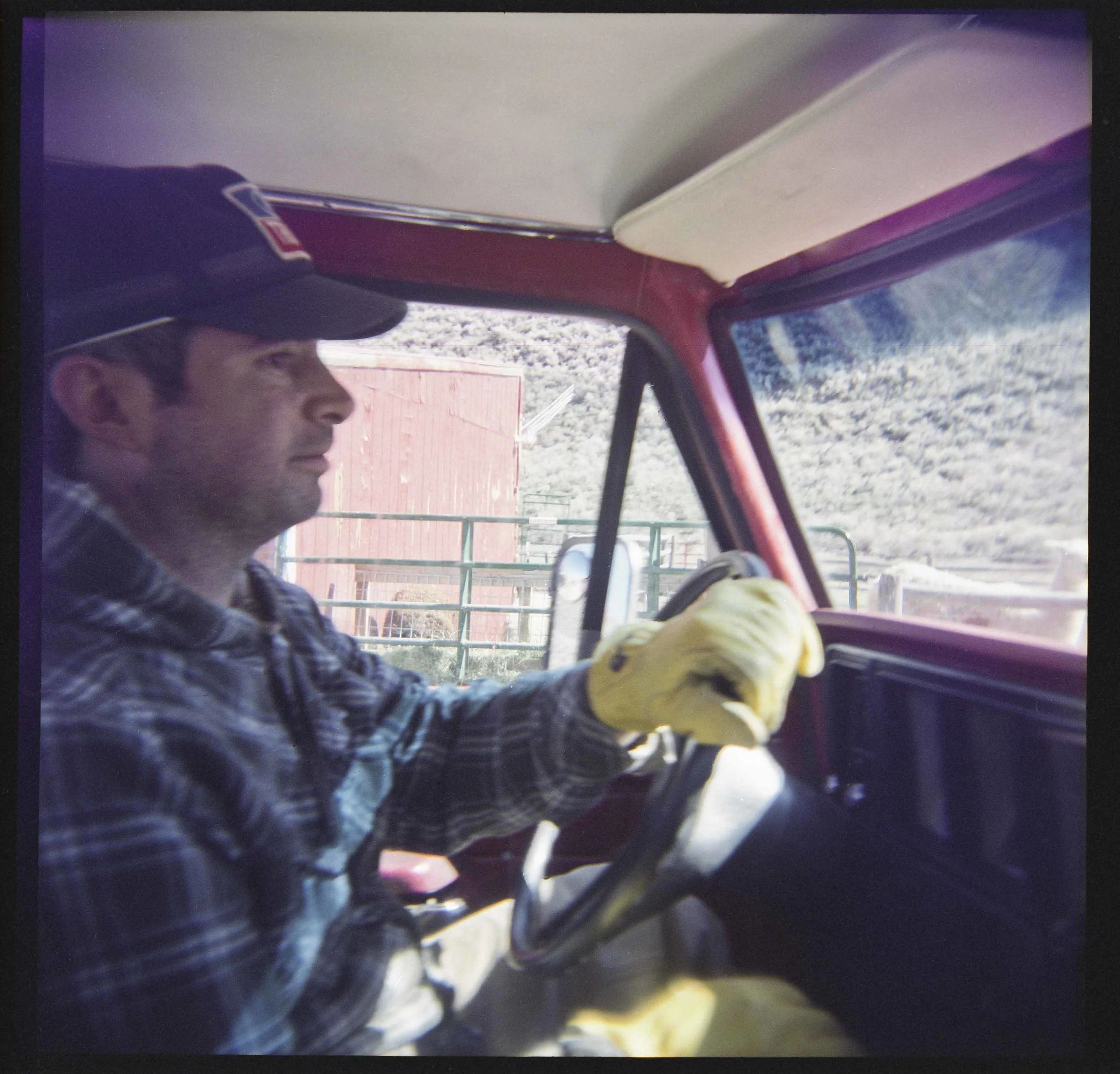 BARTLETT_DOCUMENTARY_lambs_025.jpg