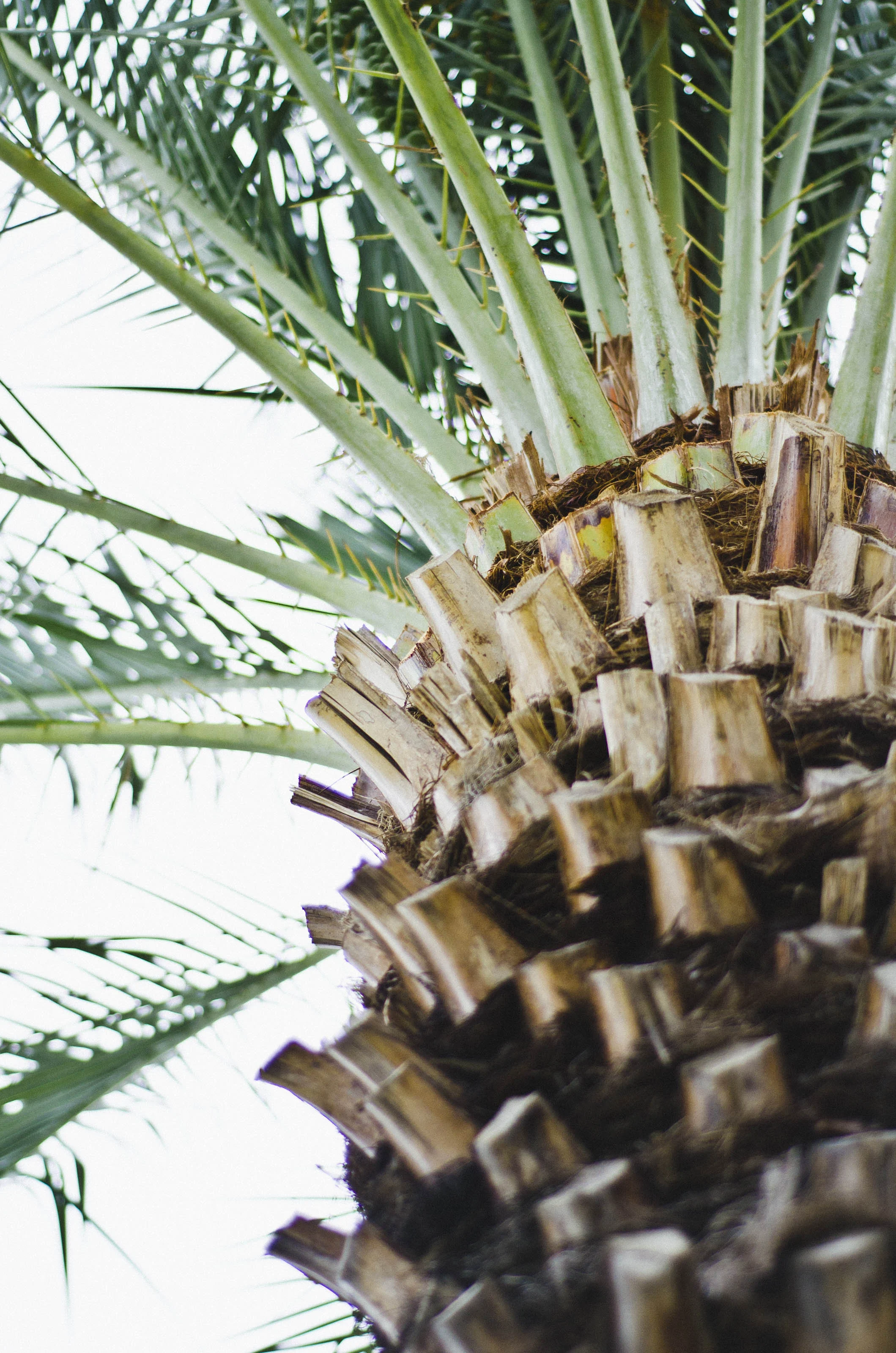 BARTLETTcreativeLLC_travel_Cabo_120.jpg
