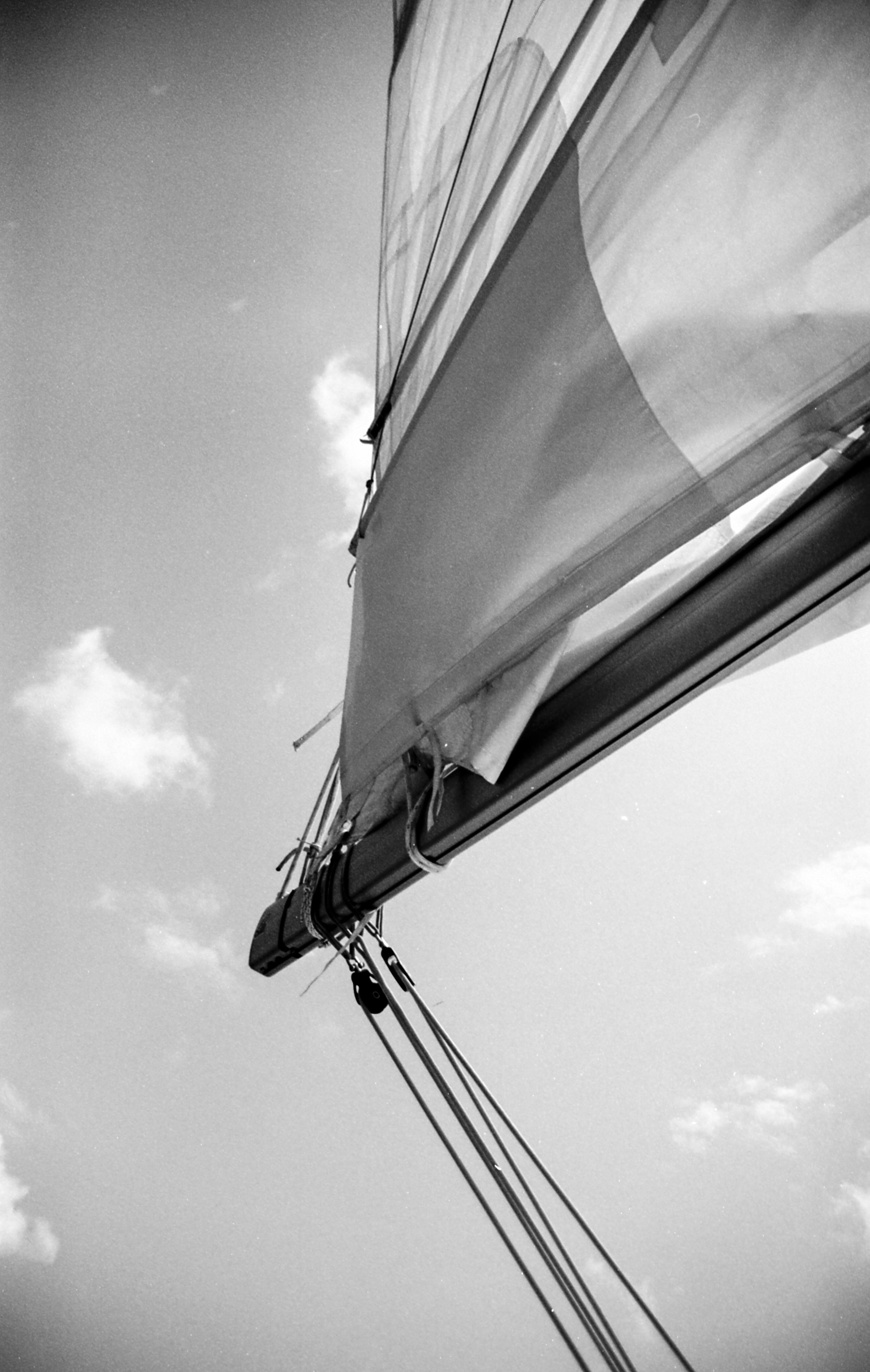 Scampaneers BVI 2017_1Love_BVI_Sailing_Website_027.jpg