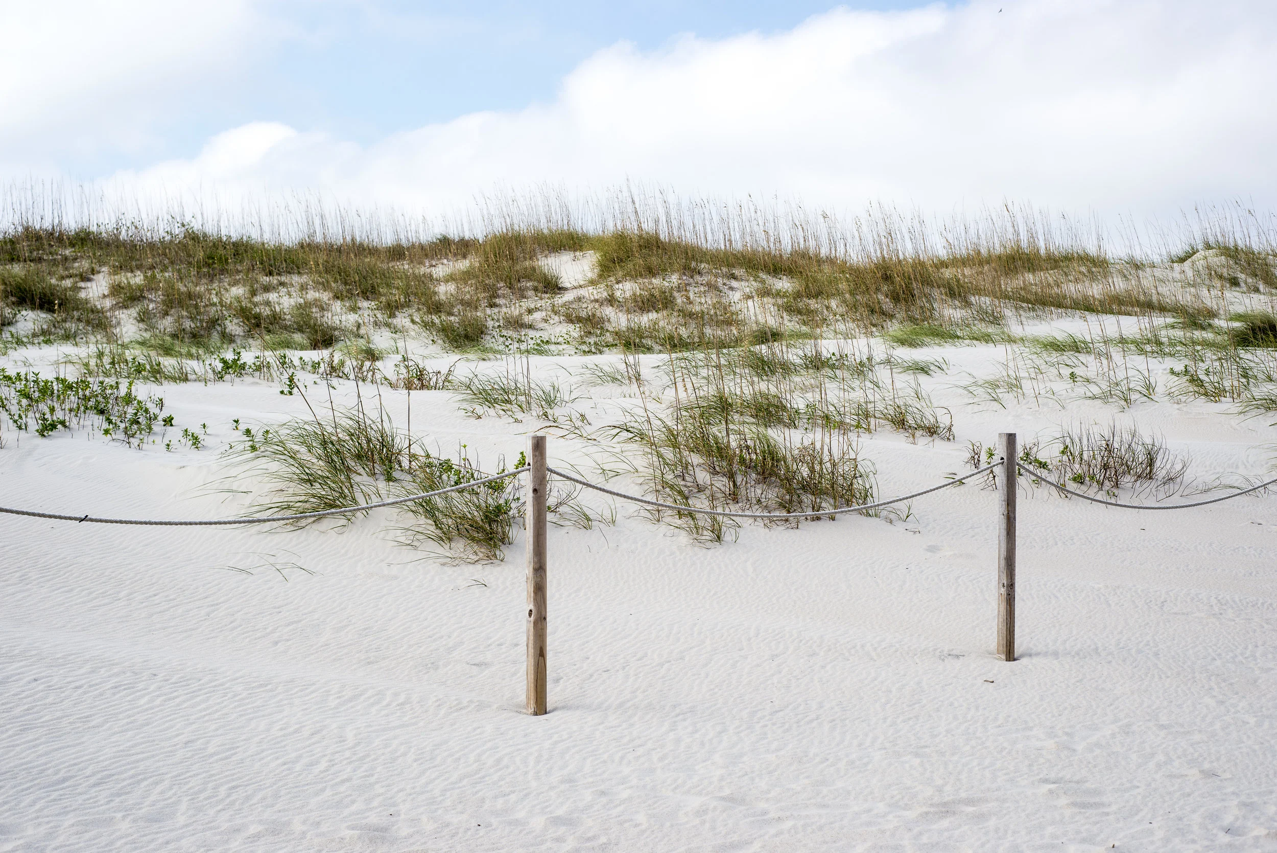 BARTLETTcreativeLLC_Travel_BaldHeadIsland_063.jpg