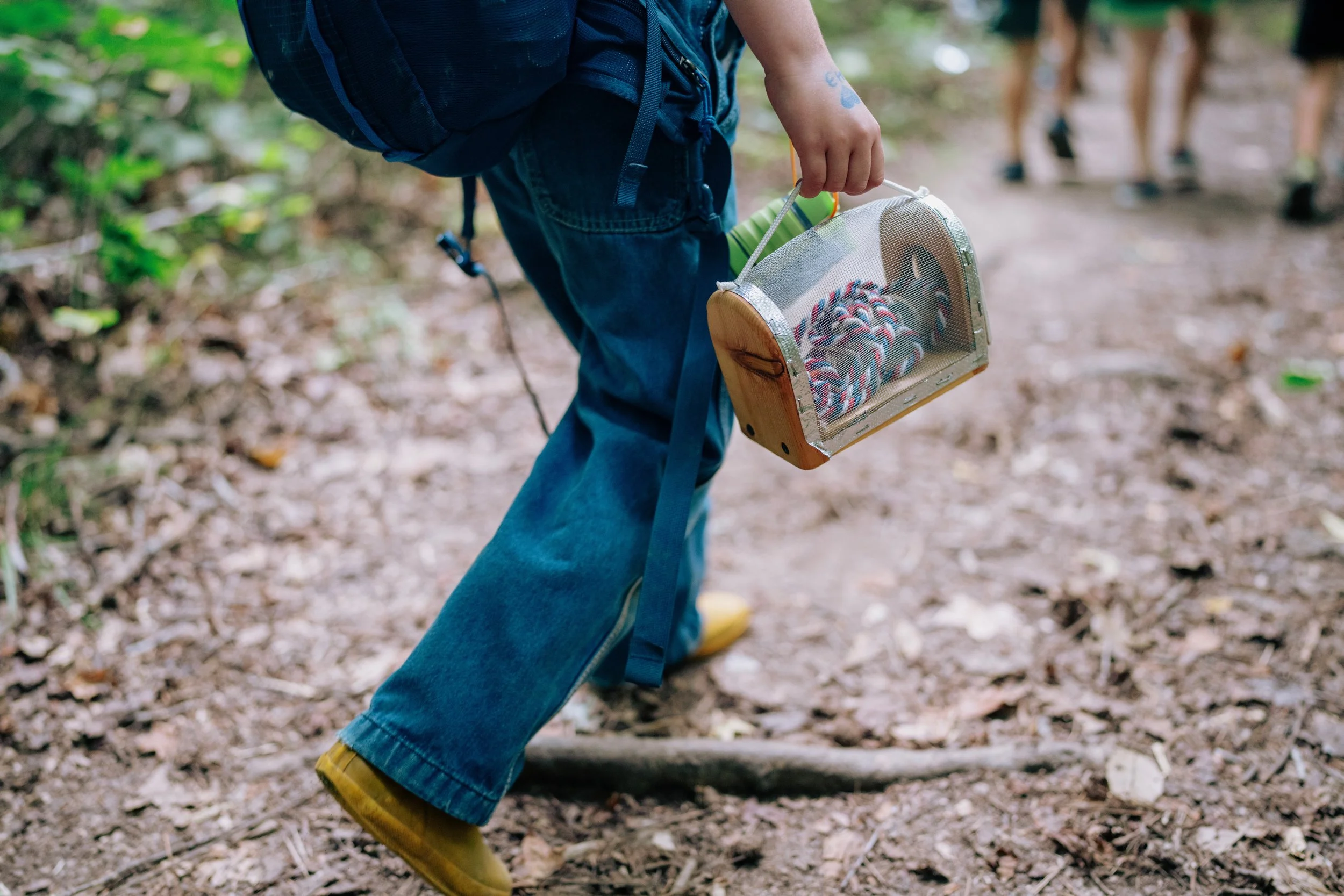 River Farm Insect Case.JPEG