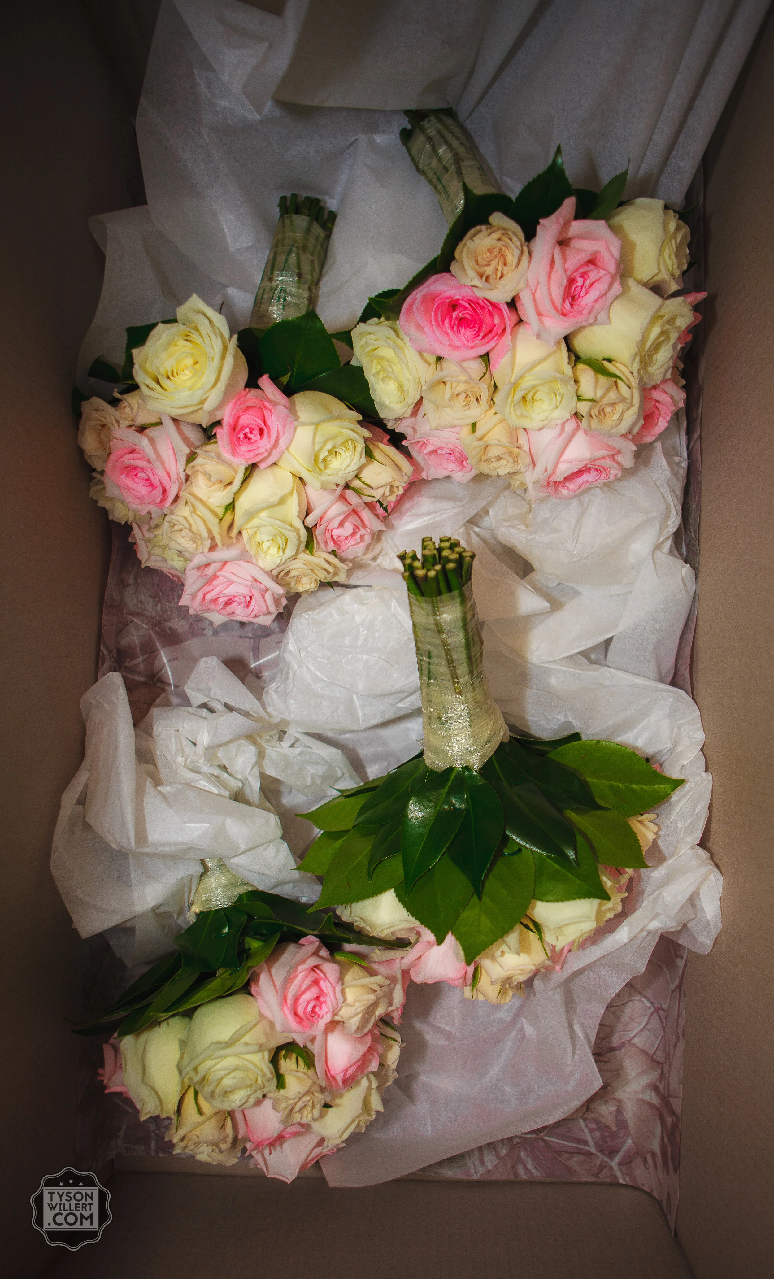 SCwebready (472 of 1266).jpg