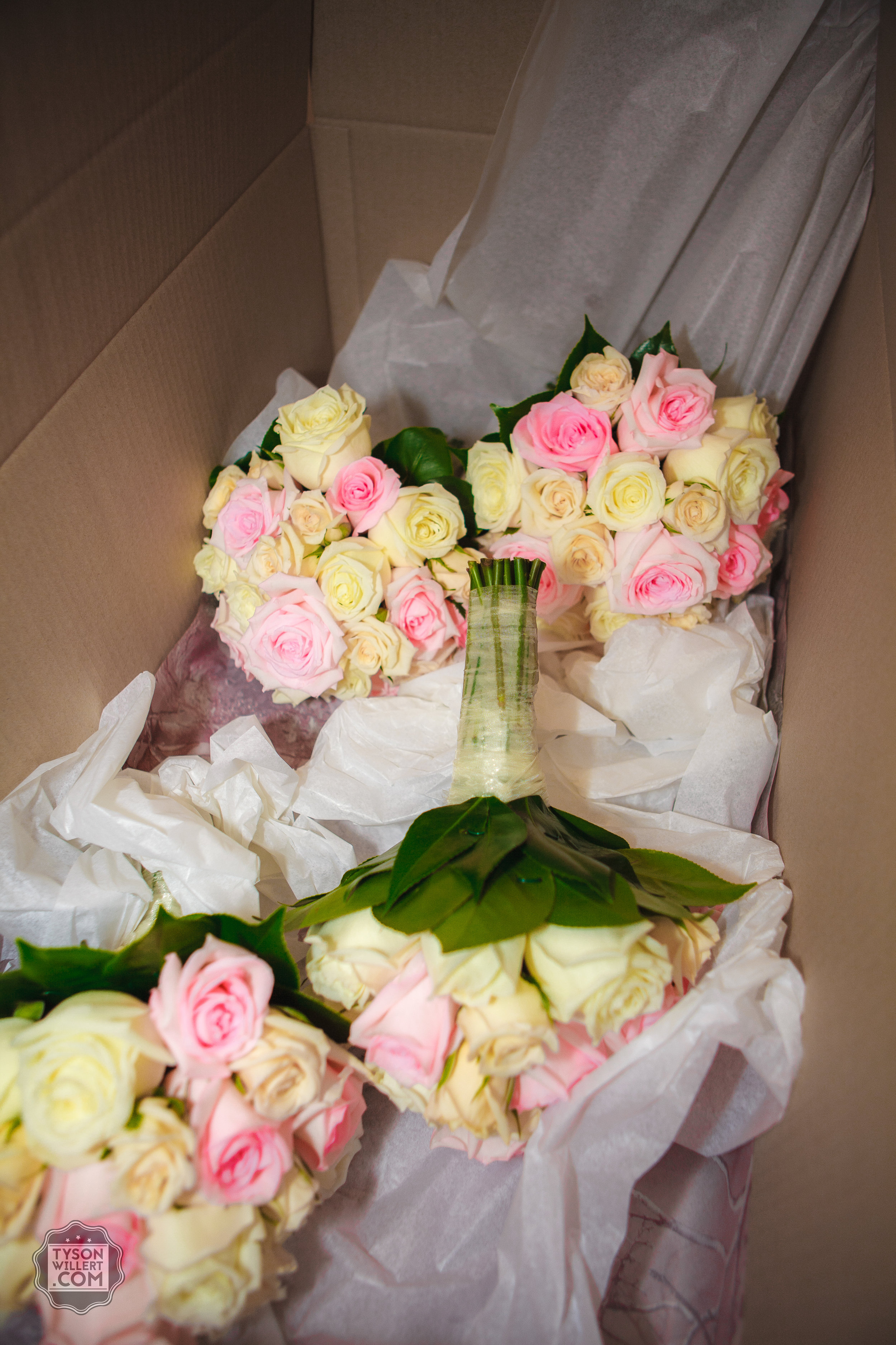 SCwebready (473 of 1266).jpg