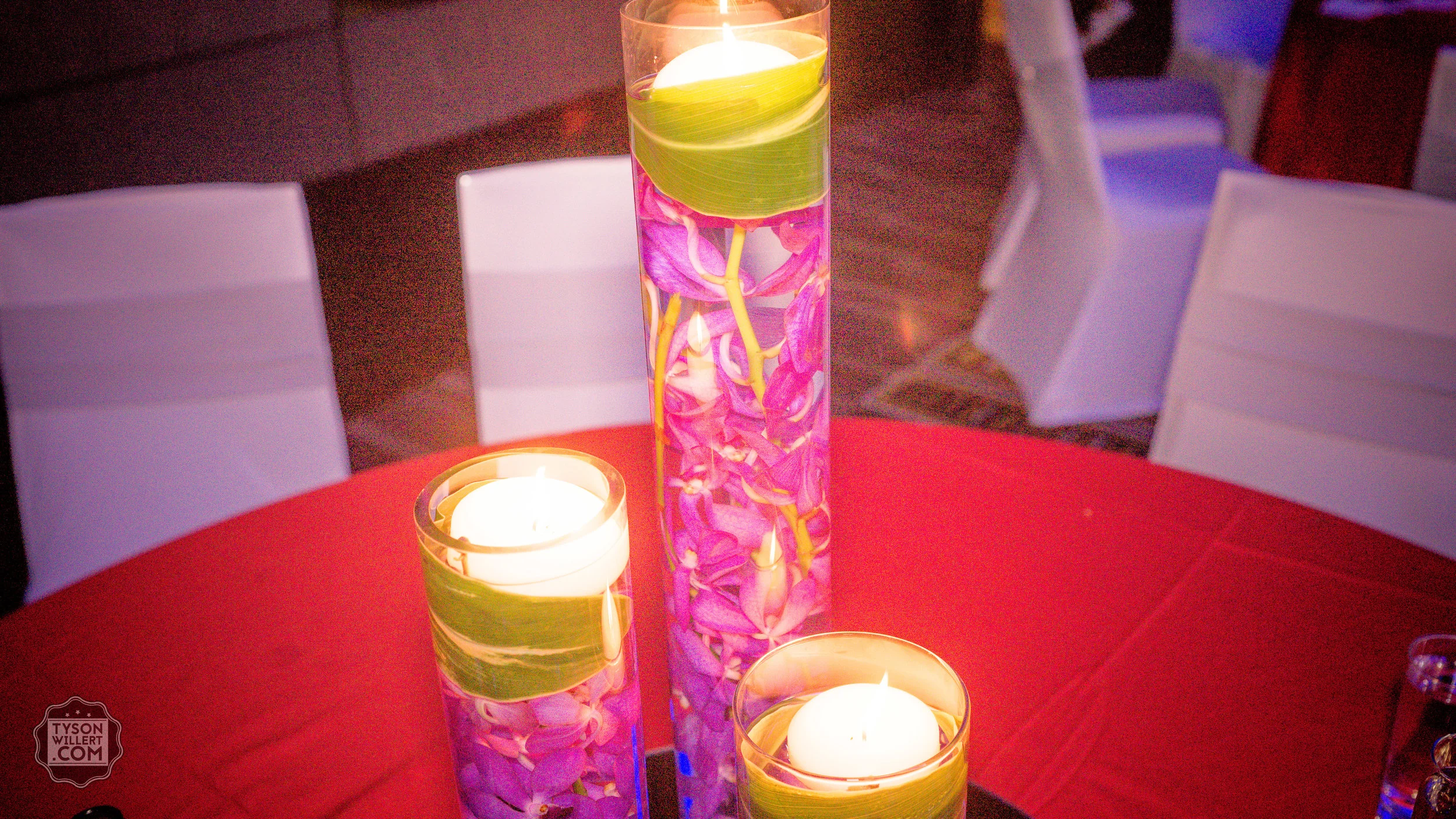 SCwebready (256 of 1266).jpg