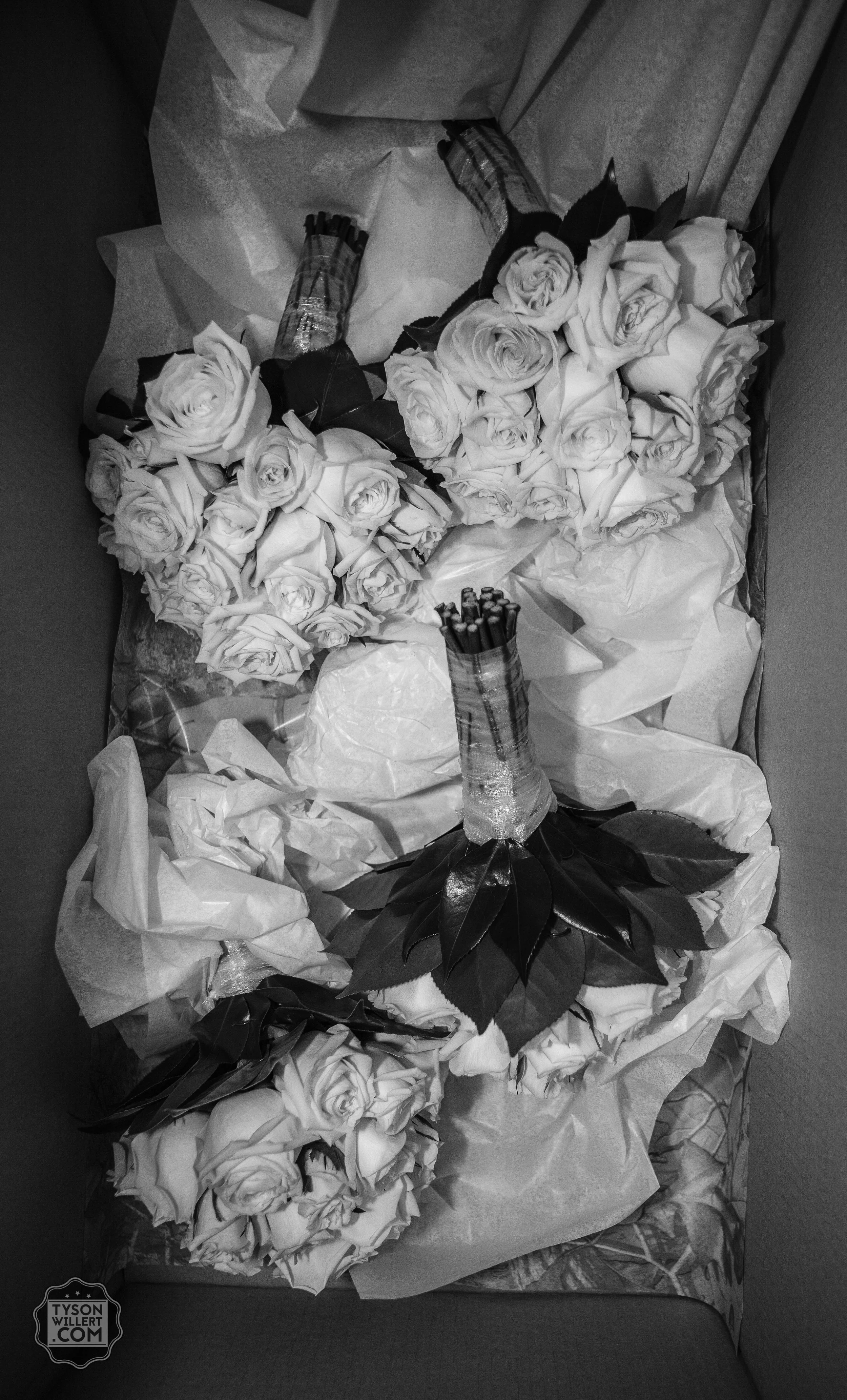 SCbw-web (265 of 1265).jpg