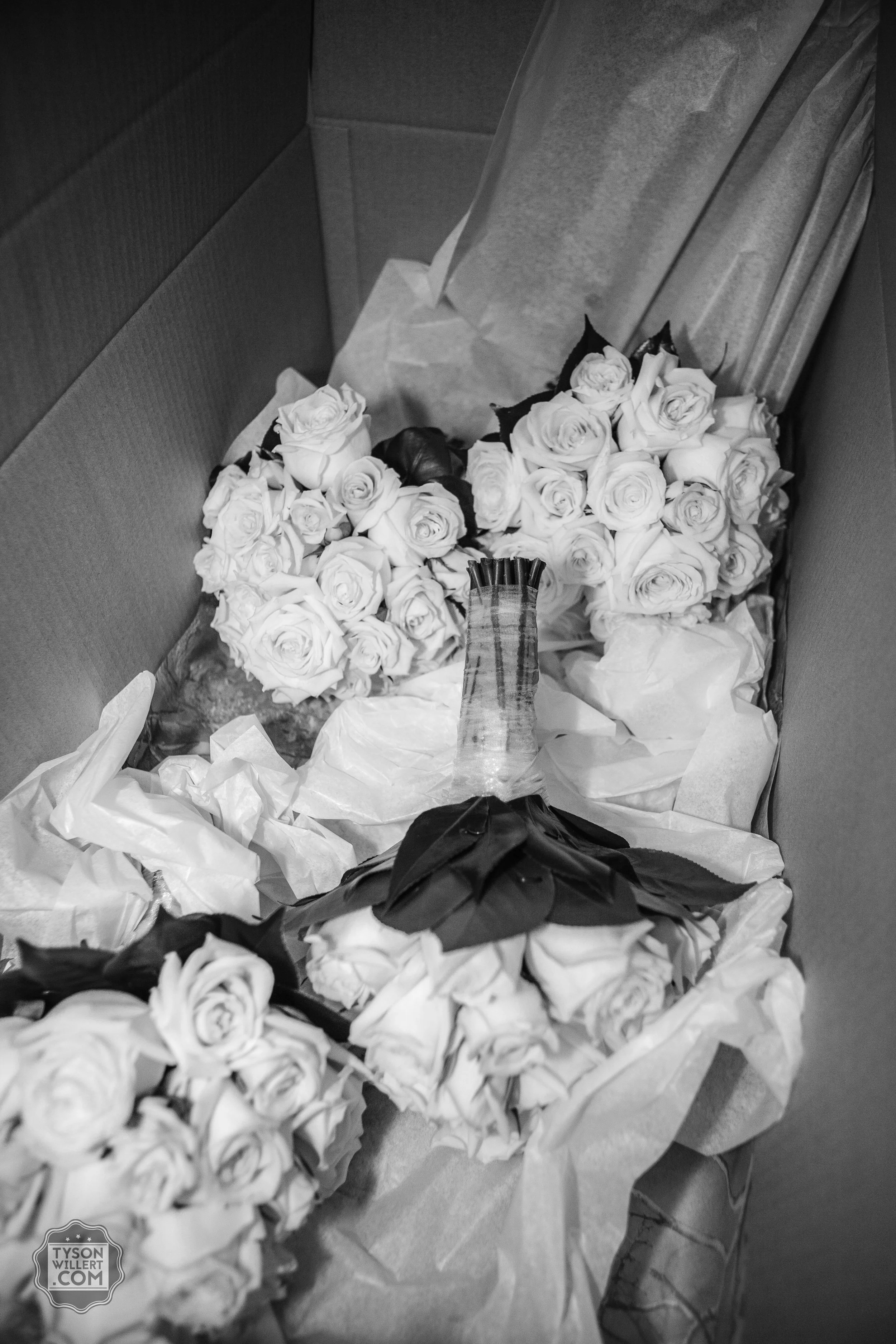 SCbw-web (266 of 1265).jpg