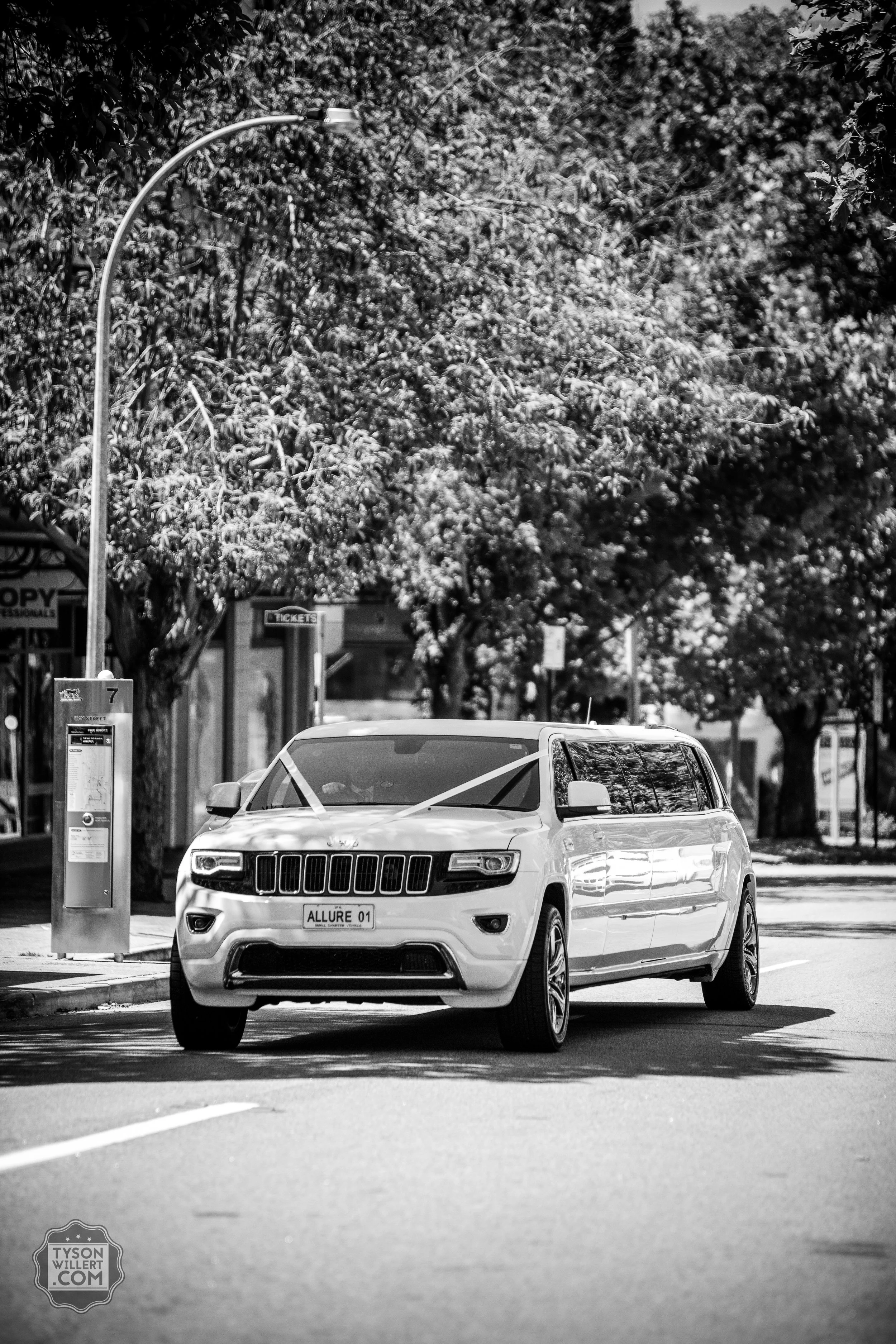 SCbw-web (406 of 1265).jpg