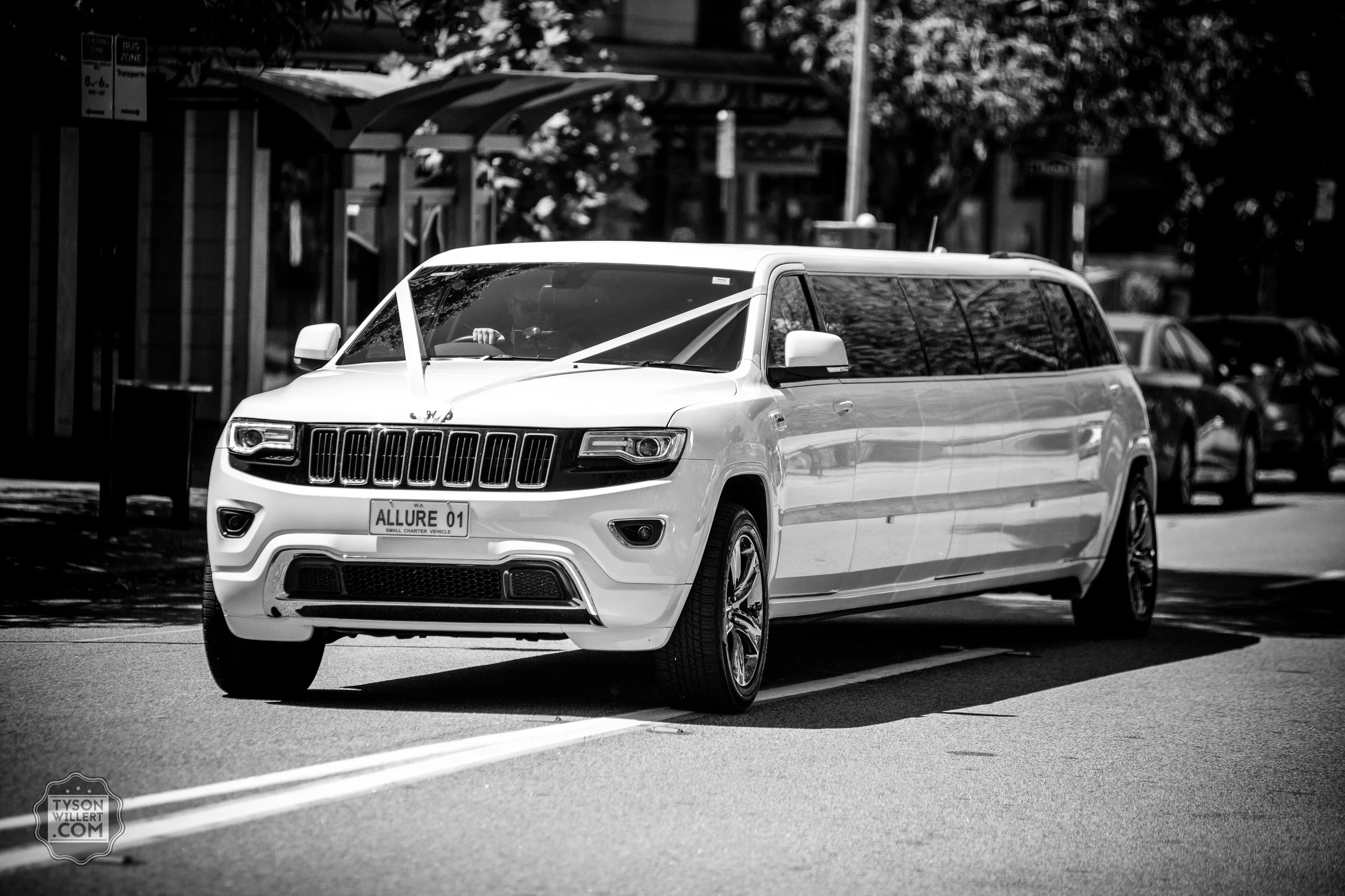 SCbw-web (407 of 1265).jpg