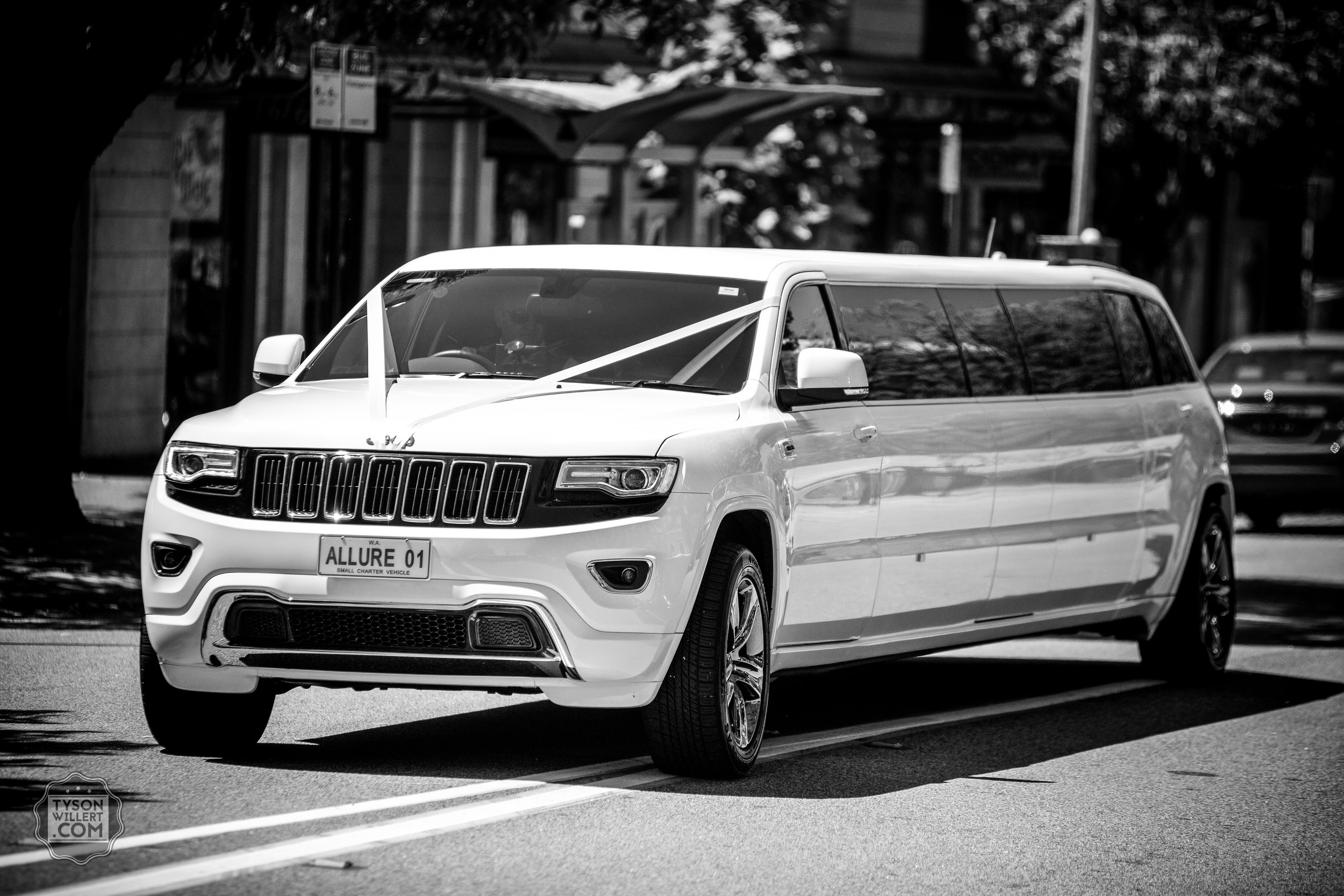 SCbw-web (408 of 1265).jpg