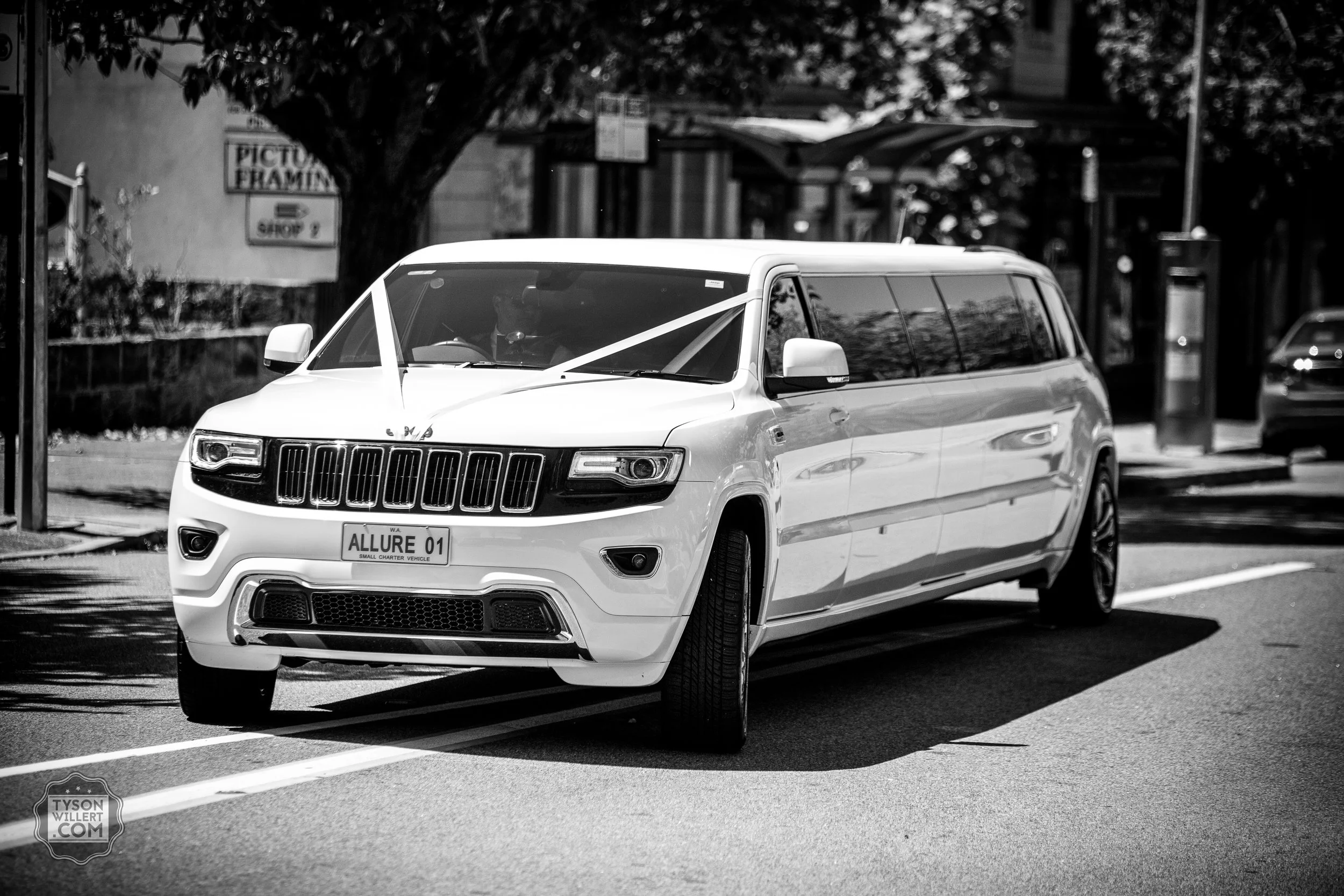 SCbw-web (409 of 1265).jpg