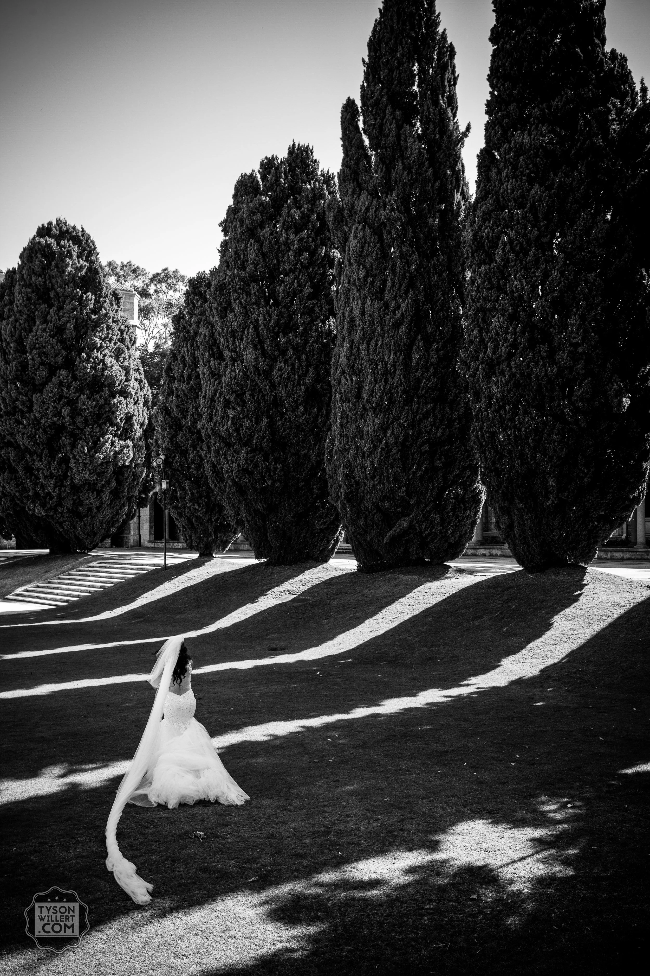 SCbw-web (724 of 1265).jpg