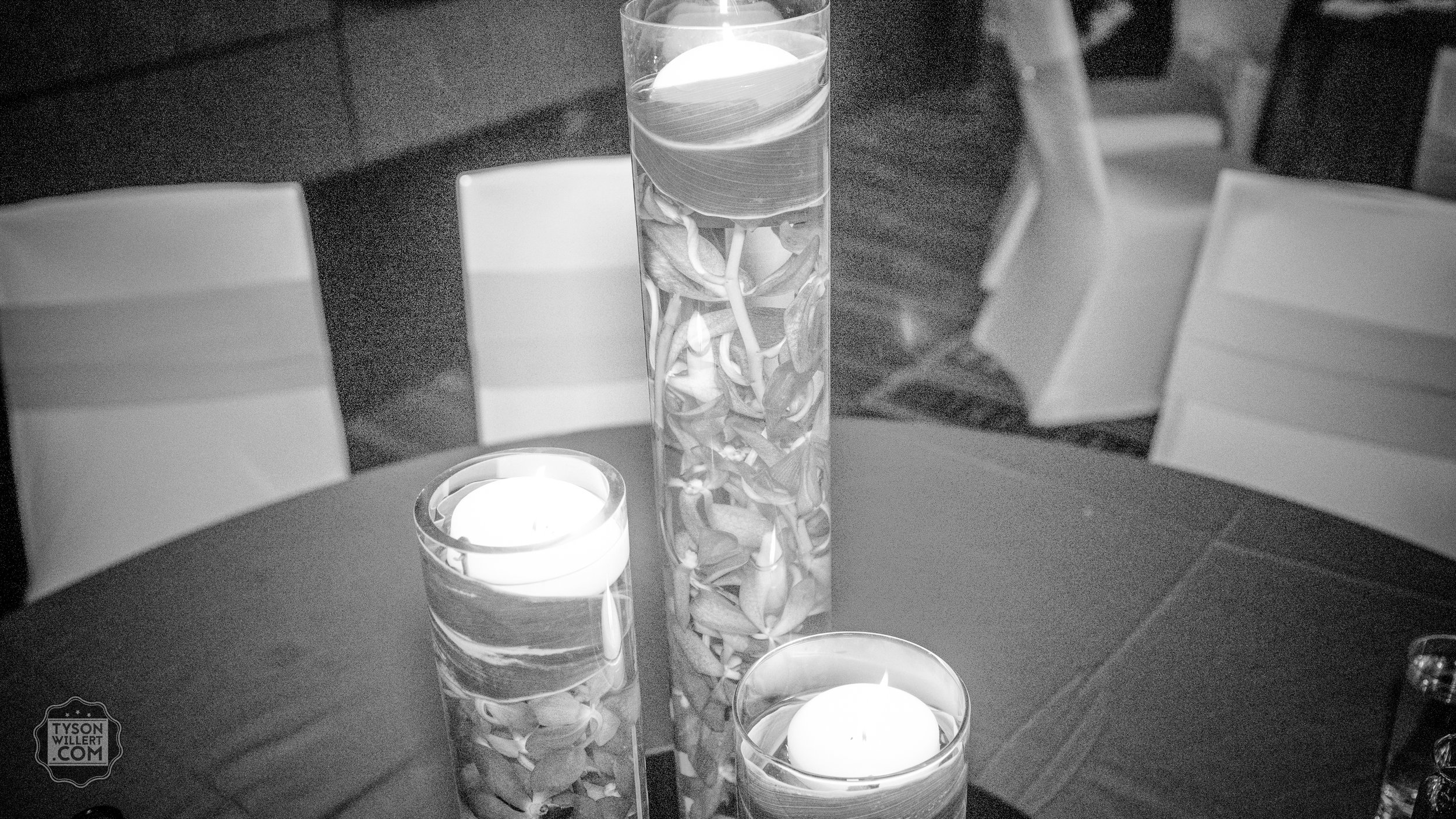 SCbw-web (1231 of 1265).jpg