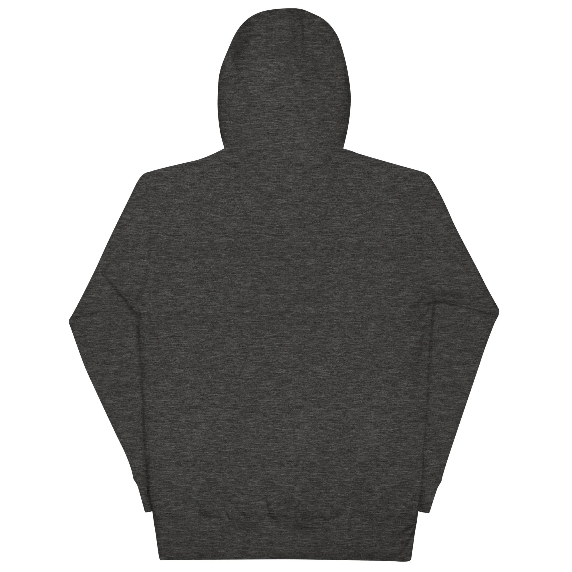 unisex-premium-hoodie-charcoal-heather-back-668d78816ff8e.jpg