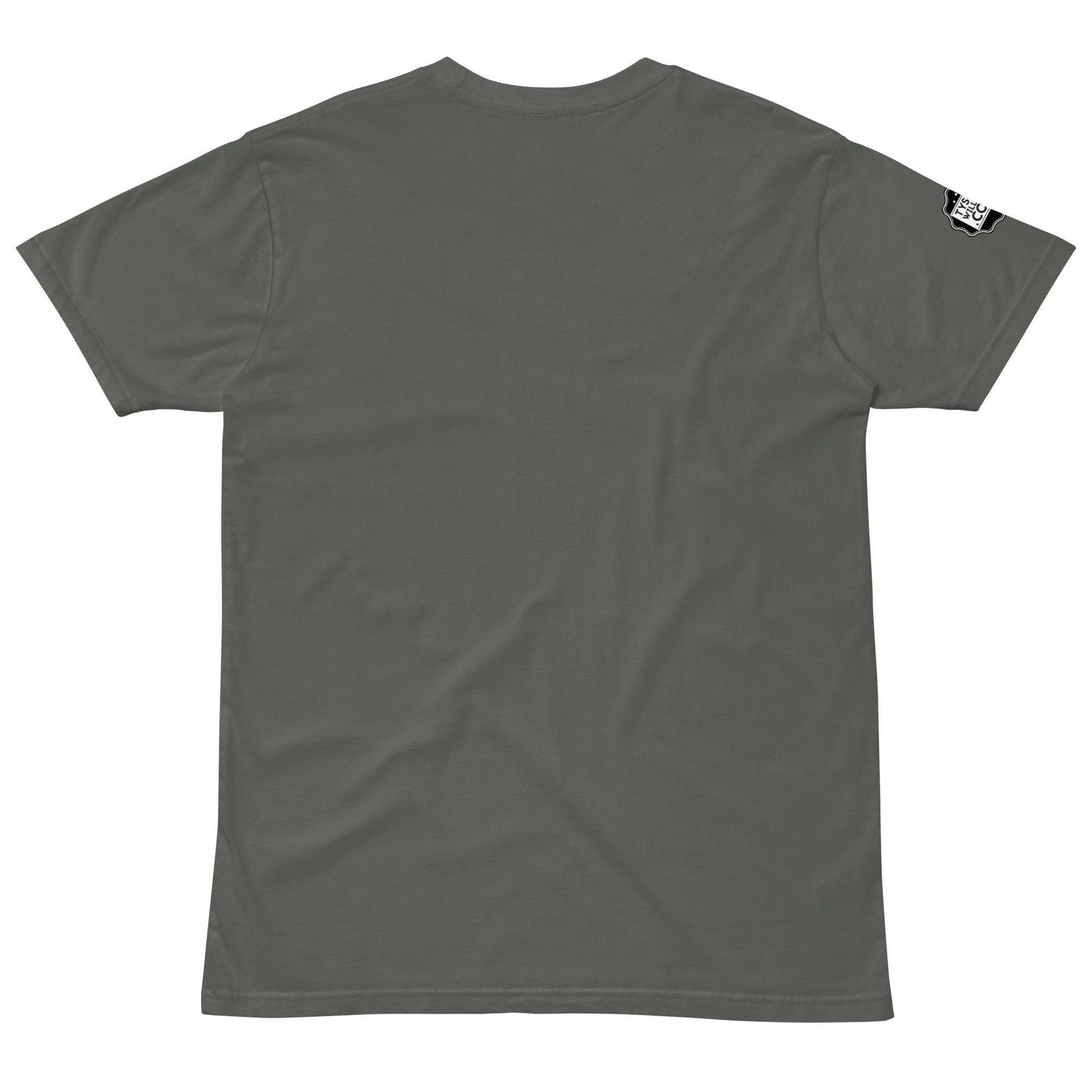 unisex-premium-t-shirt-charcoal-back-677582c187701.jpg