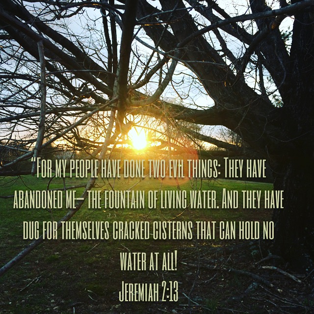 This one wasn't for a prompt - it's just something I stumbled on and it made sense to me. I am constantly digging wells in wrong places, looking for life where I'll never find it. Perfectionism, my friends, is not a way to get living water.