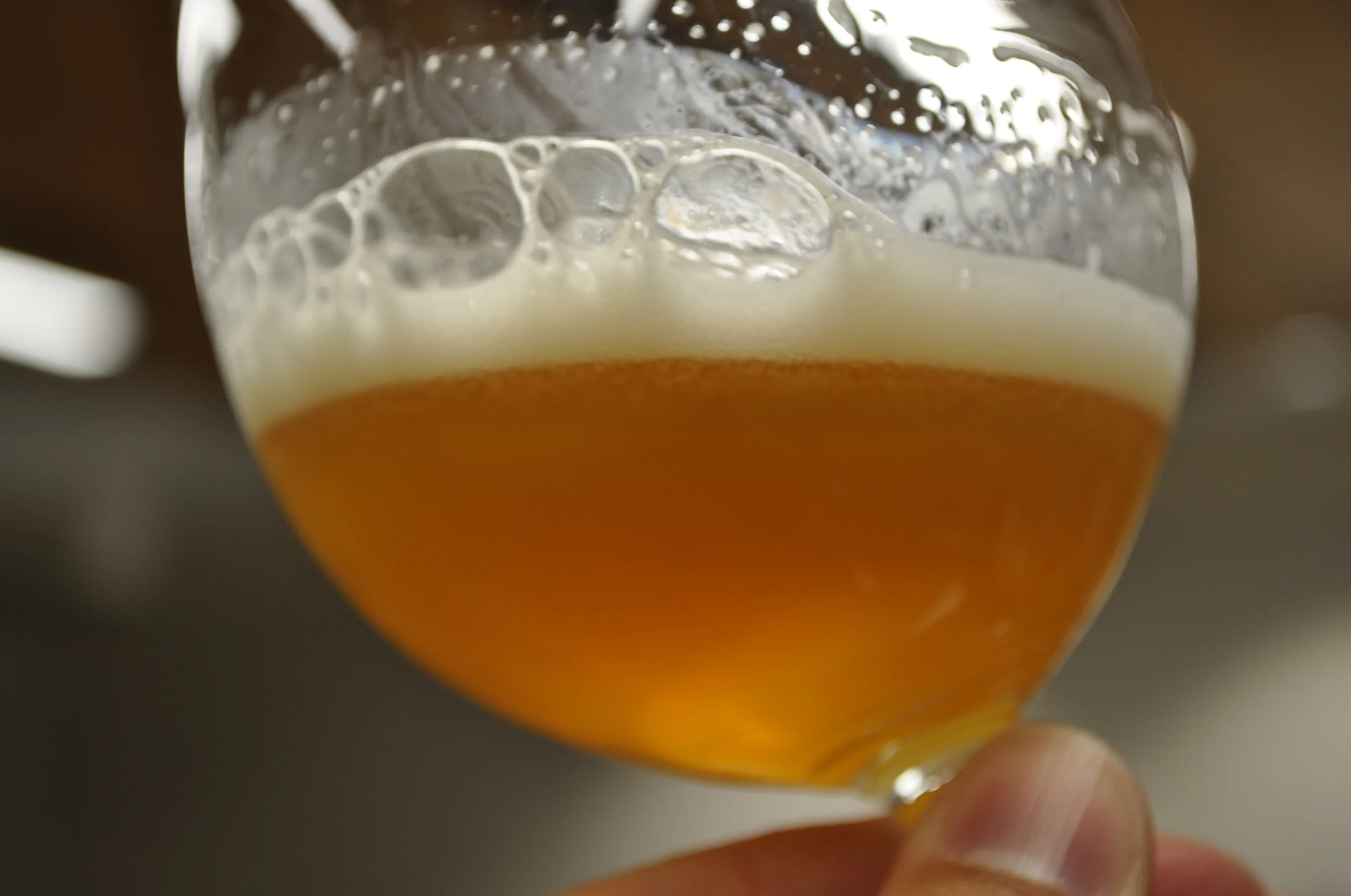 Nelson Sauvin Pale Ale with English Yeast Strain
