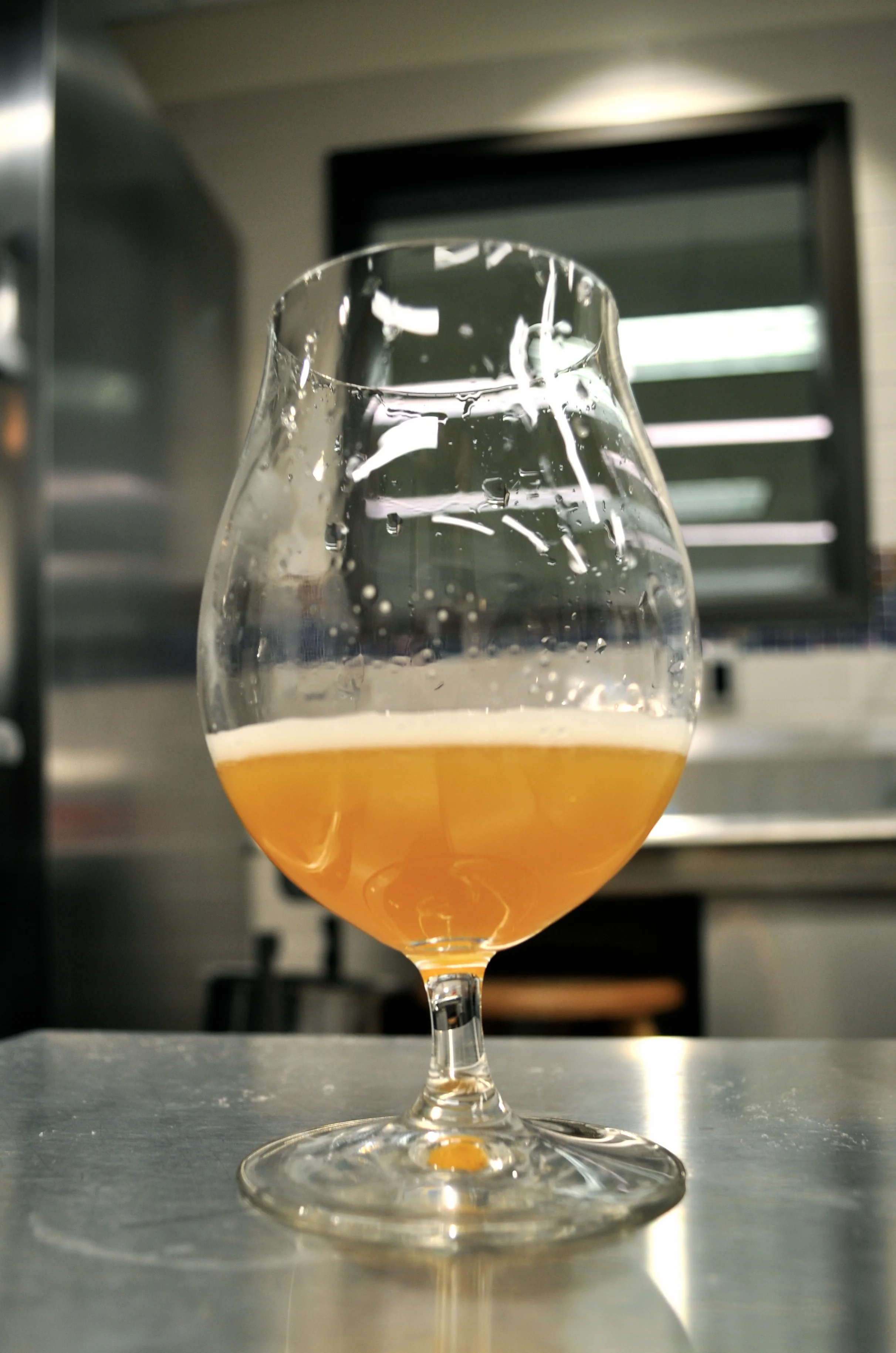 Nelson Sauvin Pale Ale with American Ale Yeast