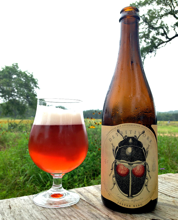 Jester King Detritivore. A wild ale fermented with wild yeast and bacteria native to the Texas hill country and collected by Jester King. Fermented on second use cherries (first use of the cherries was on a beer called Montmorency vs. Balaton). 