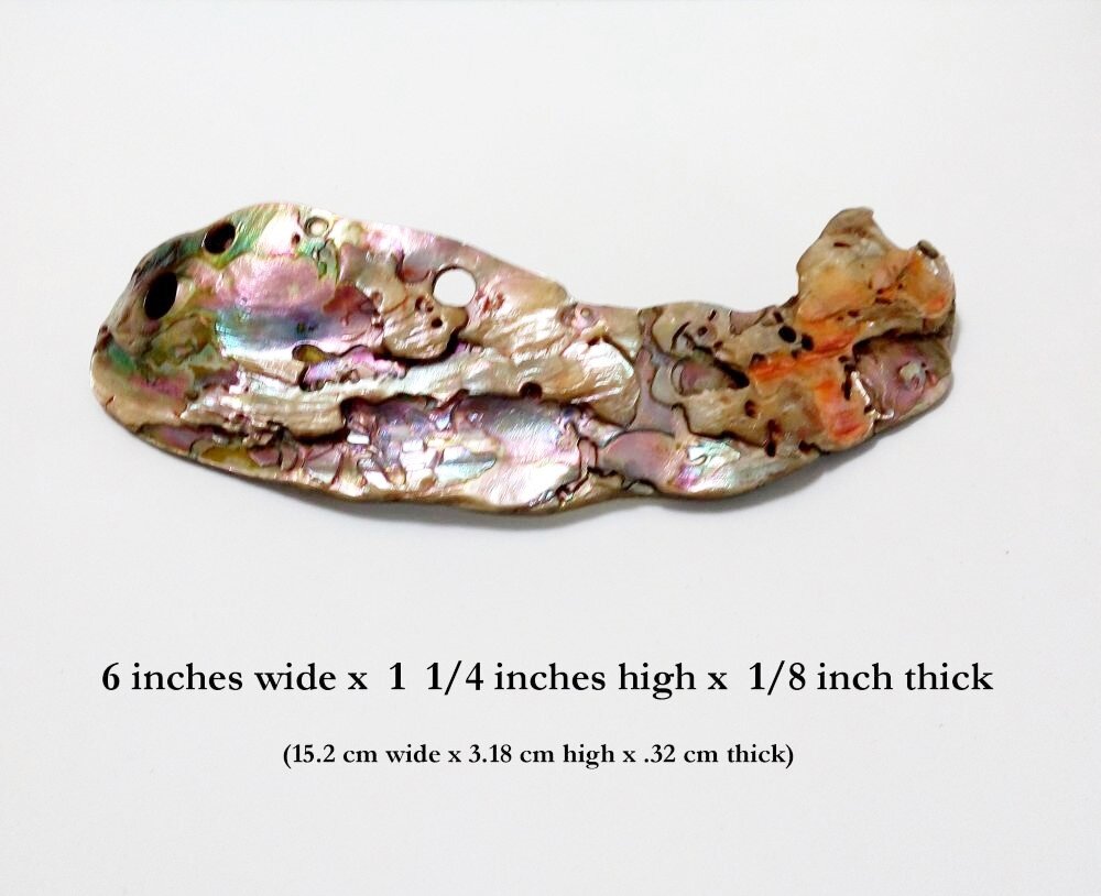 Sculpture 6 — Abalone Allure Jewelry