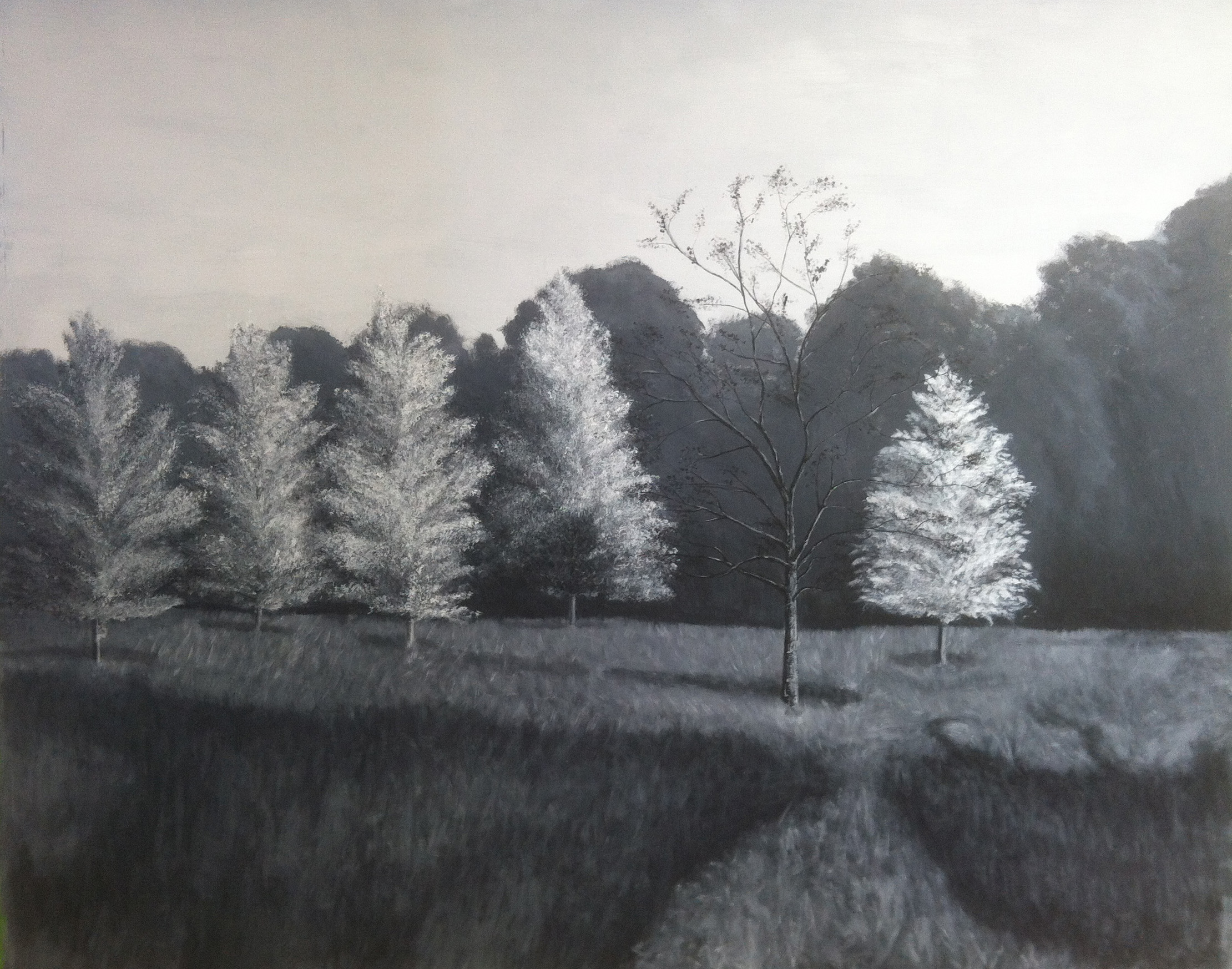 Fall Morning, acrylic on yupo paper, 62" x 50", 2014
